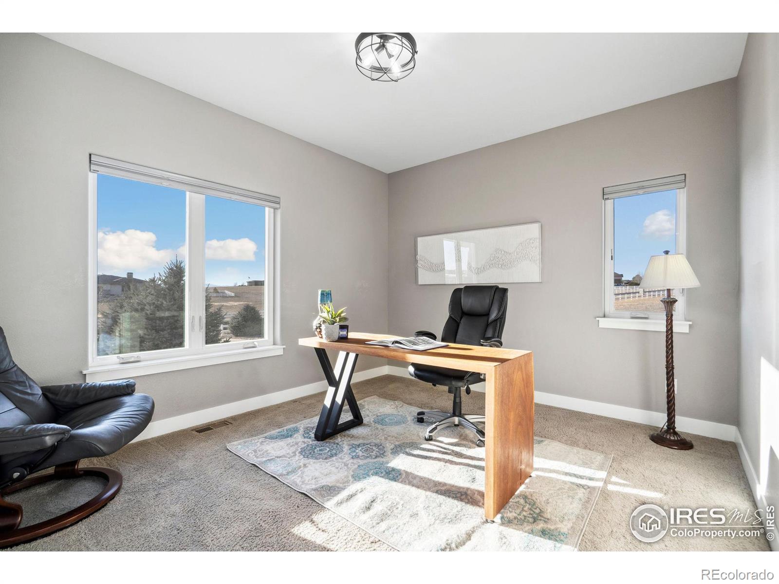 MLS Image #22 for 39738  hilltop circle,severance, Colorado