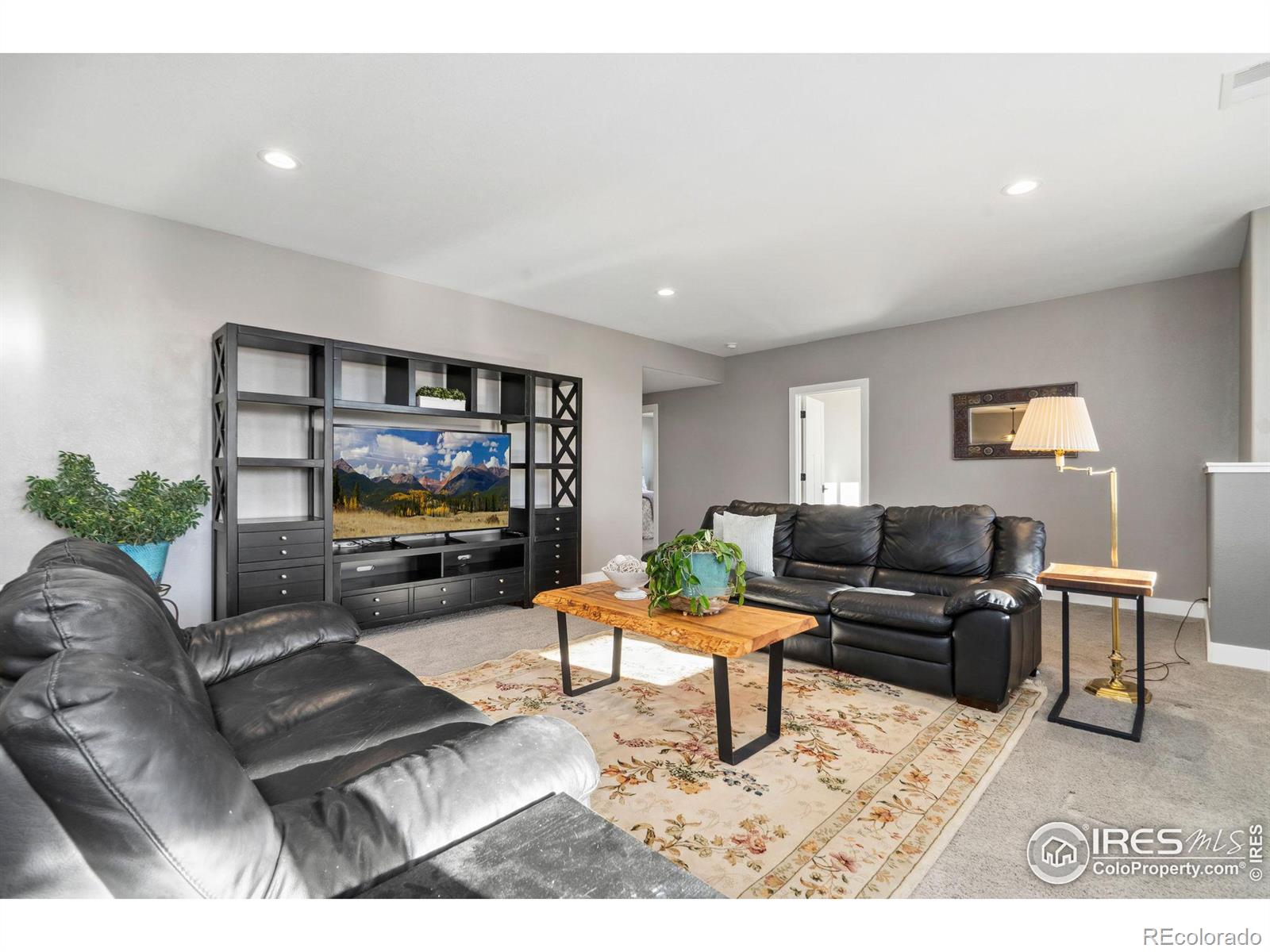 MLS Image #28 for 39738  hilltop circle,severance, Colorado