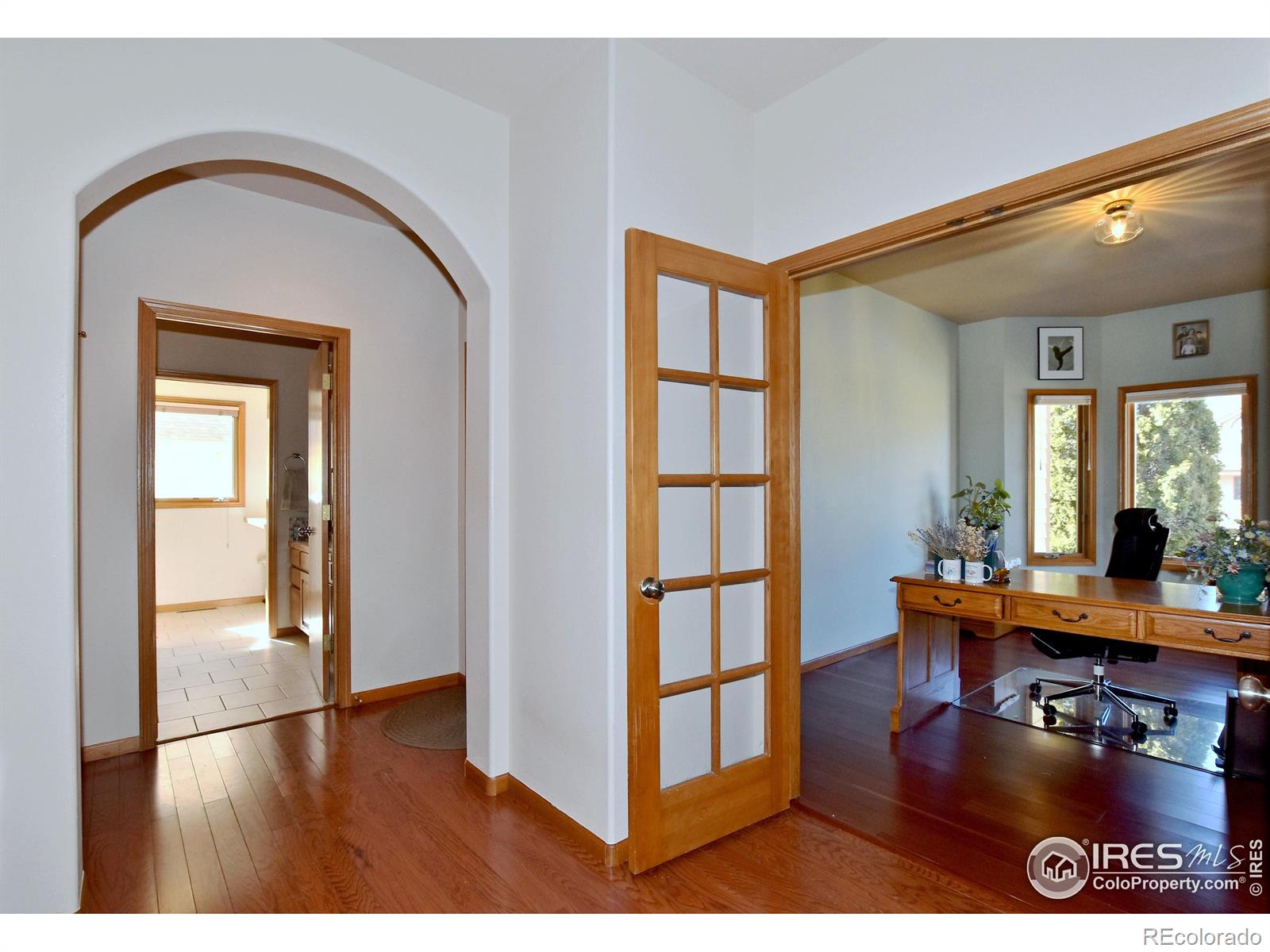MLS Image #12 for 3006  san luis court,fort collins, Colorado