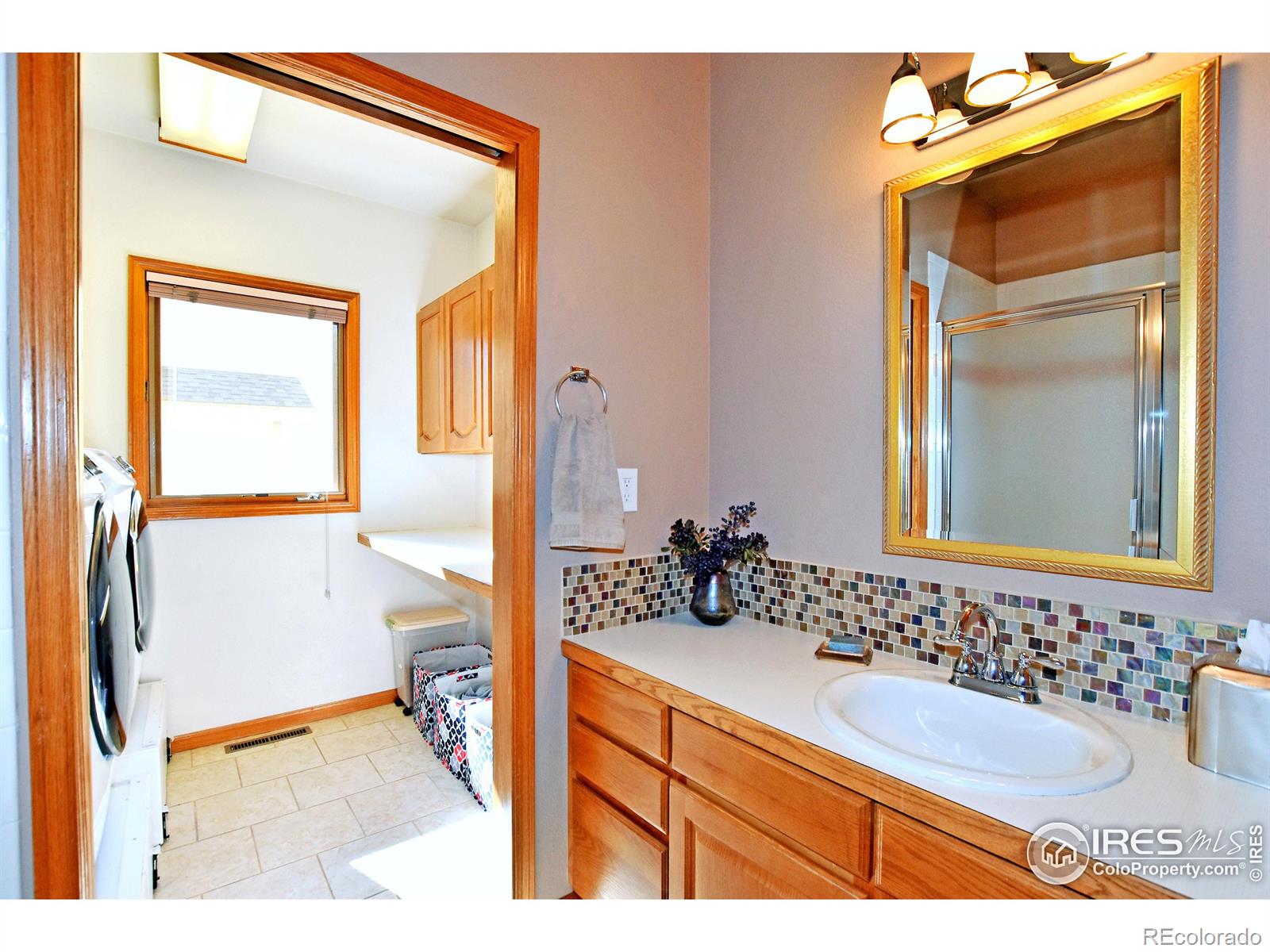 MLS Image #19 for 3006  san luis court,fort collins, Colorado