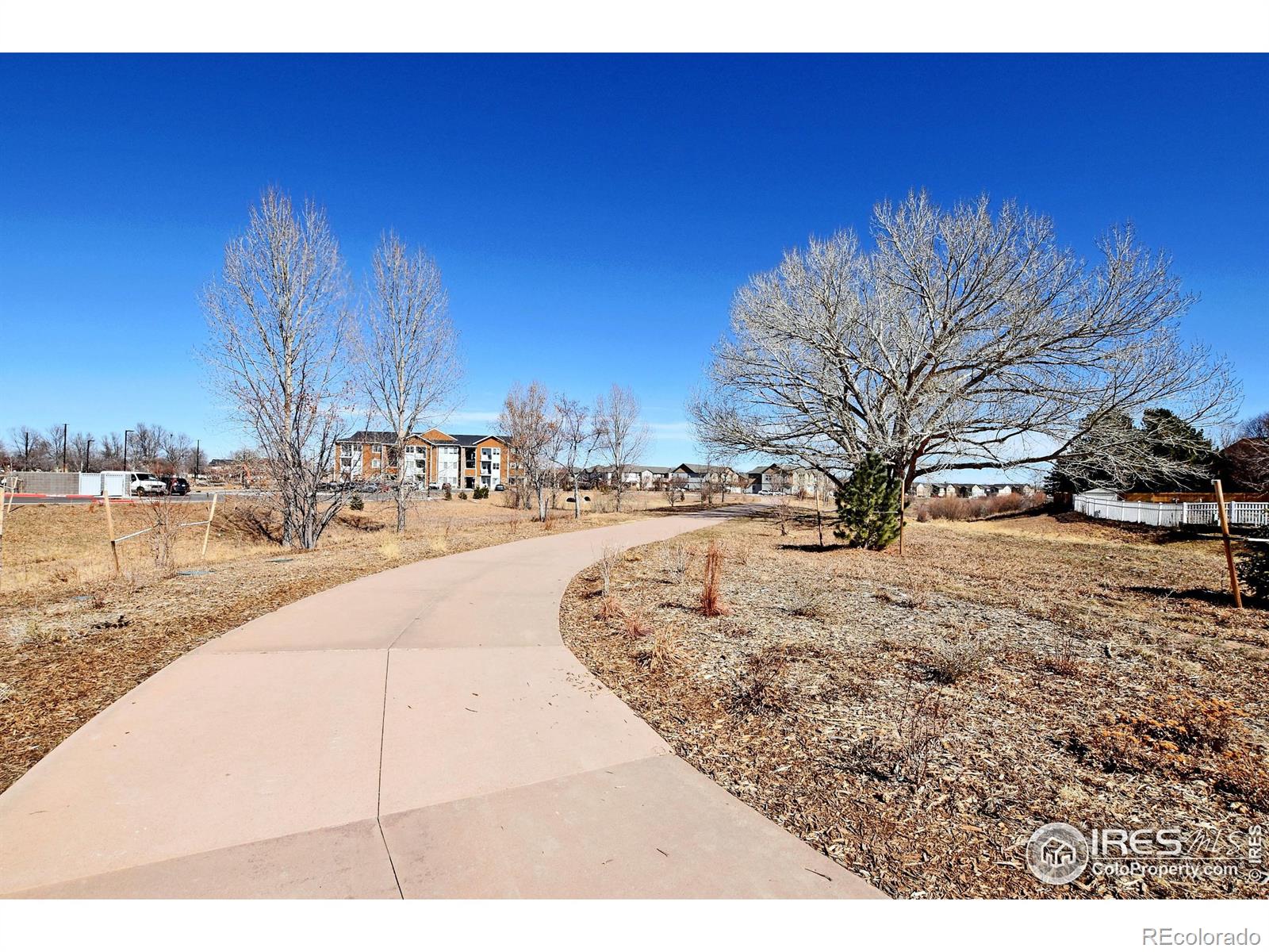 MLS Image #38 for 3006  san luis court,fort collins, Colorado