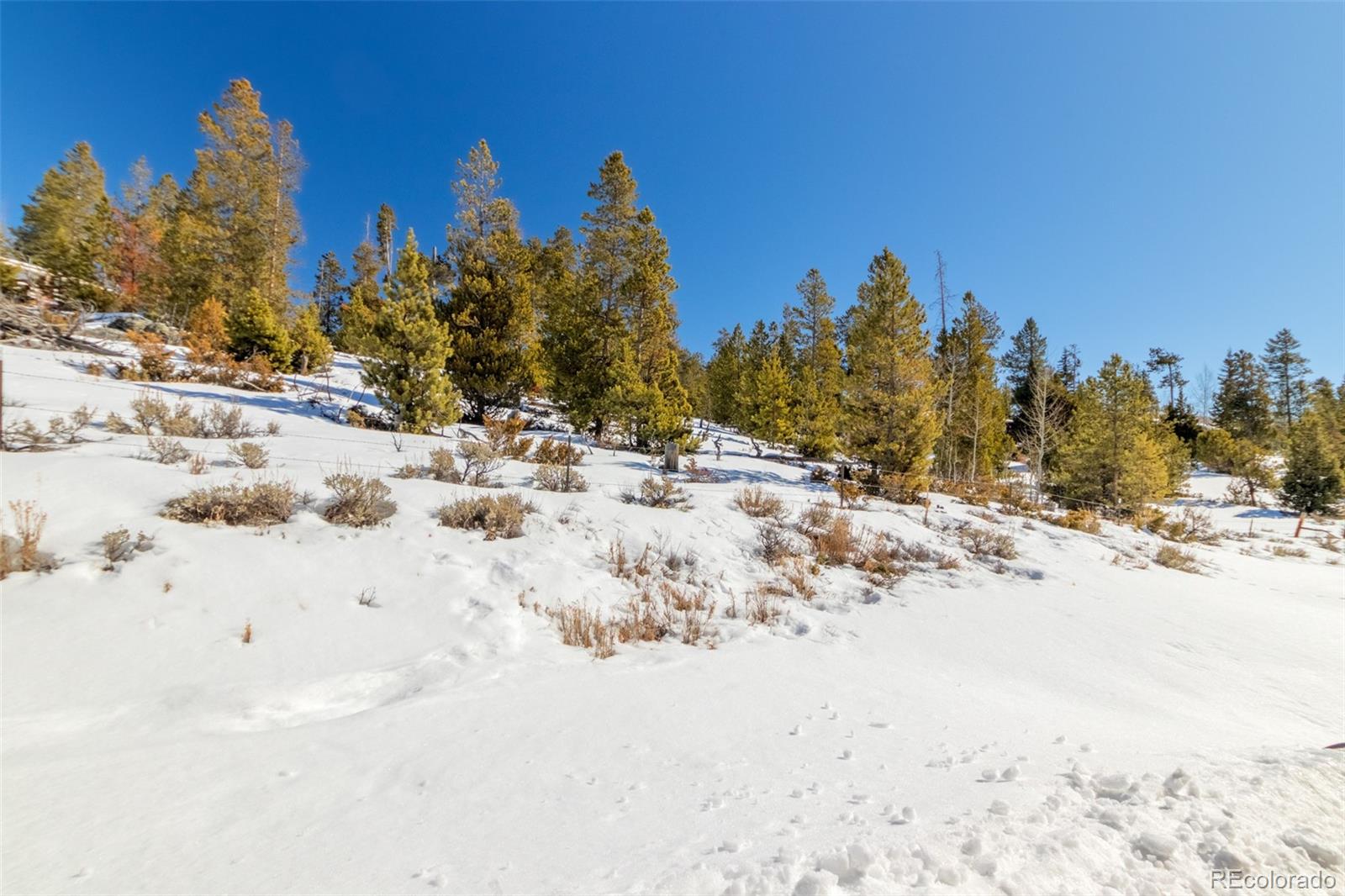 MLS Image #19 for 150  gcr 442 ,grand lake, Colorado