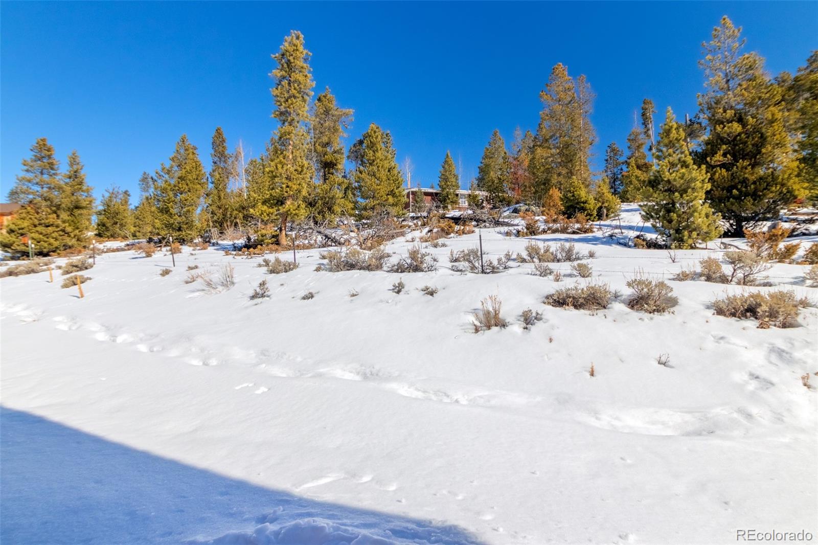 MLS Image #29 for 150  gcr 442 ,grand lake, Colorado
