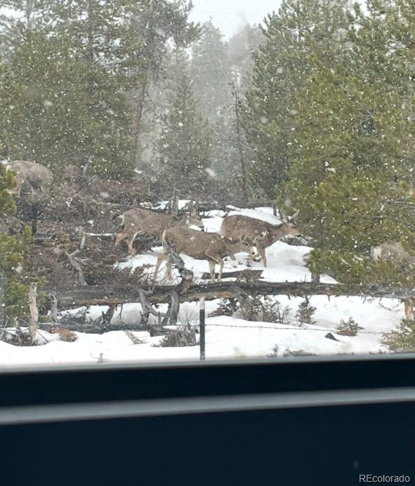 MLS Image #6 for 150  gcr 442 ,grand lake, Colorado