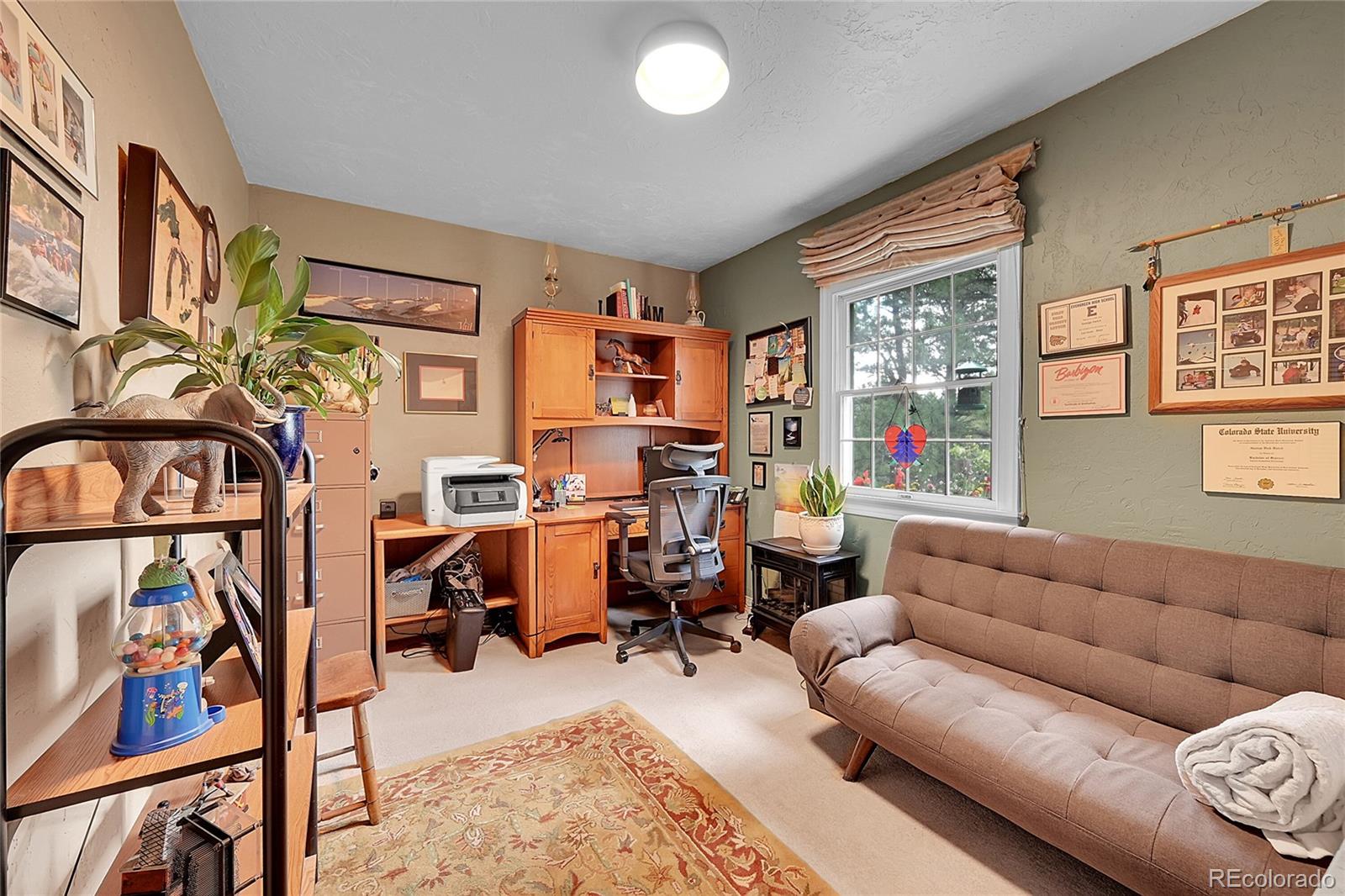 MLS Image #11 for 29832  dorothy road,evergreen, Colorado