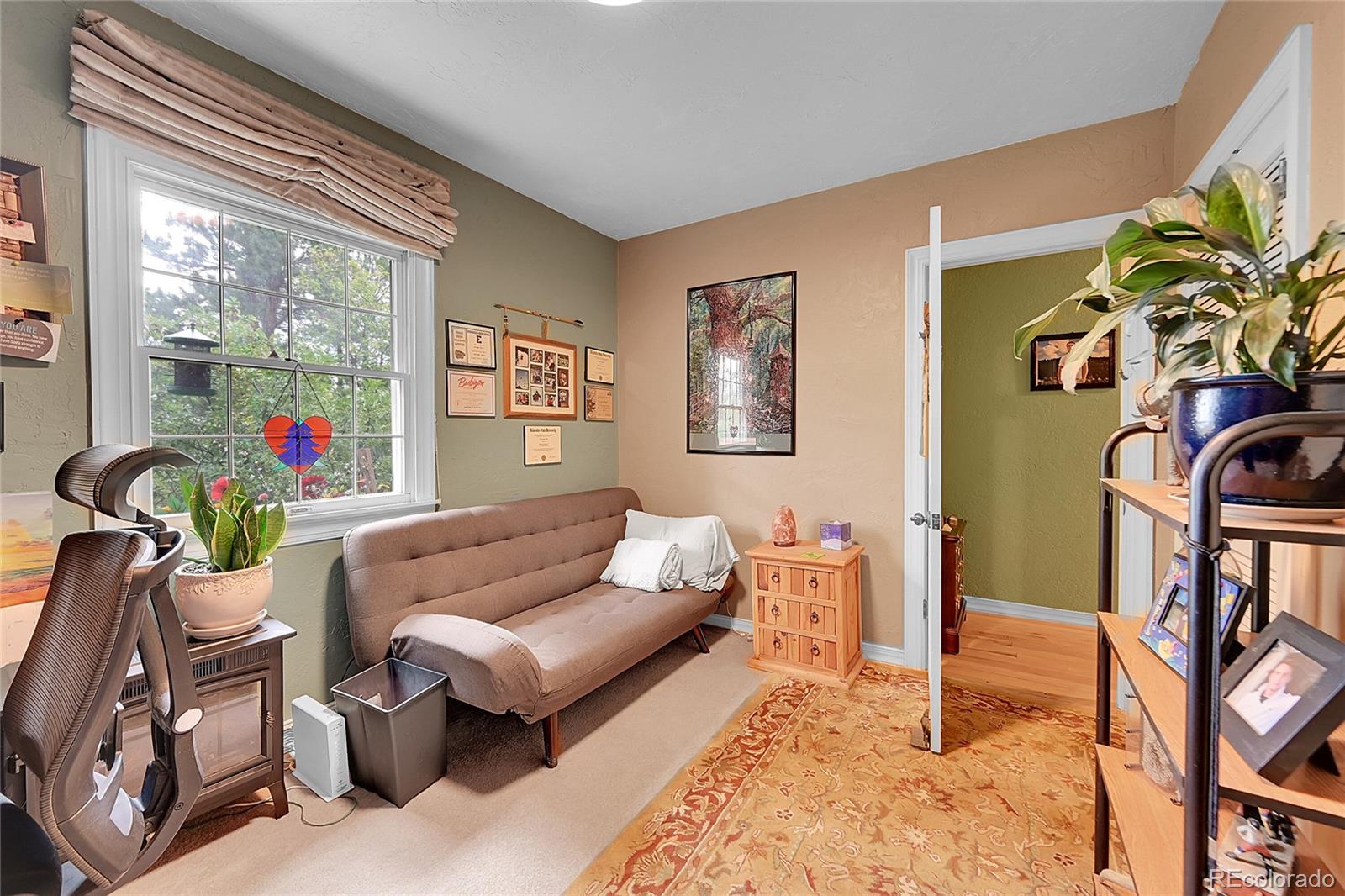 MLS Image #12 for 29832  dorothy road,evergreen, Colorado