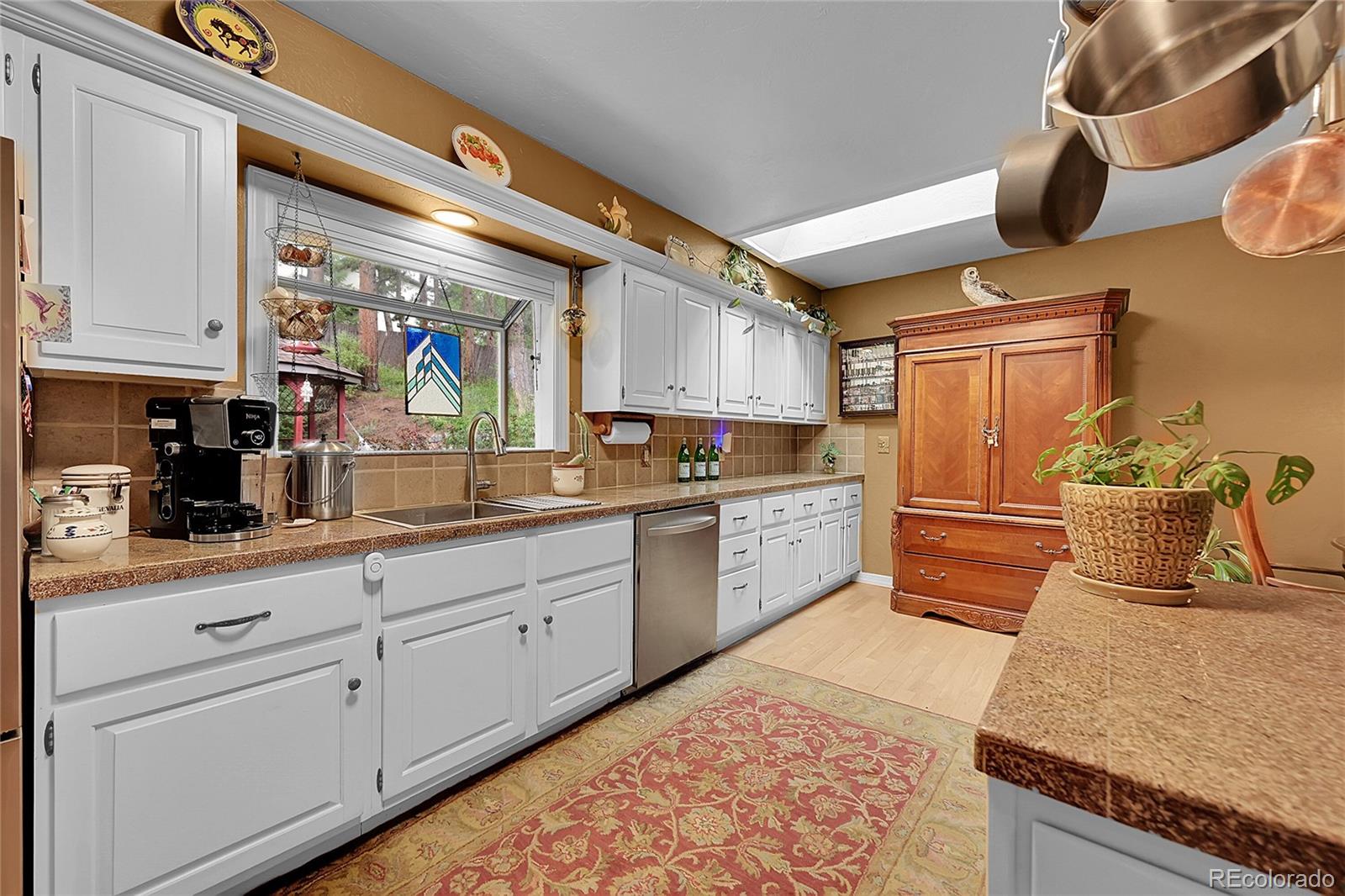 MLS Image #20 for 29832  dorothy road,evergreen, Colorado
