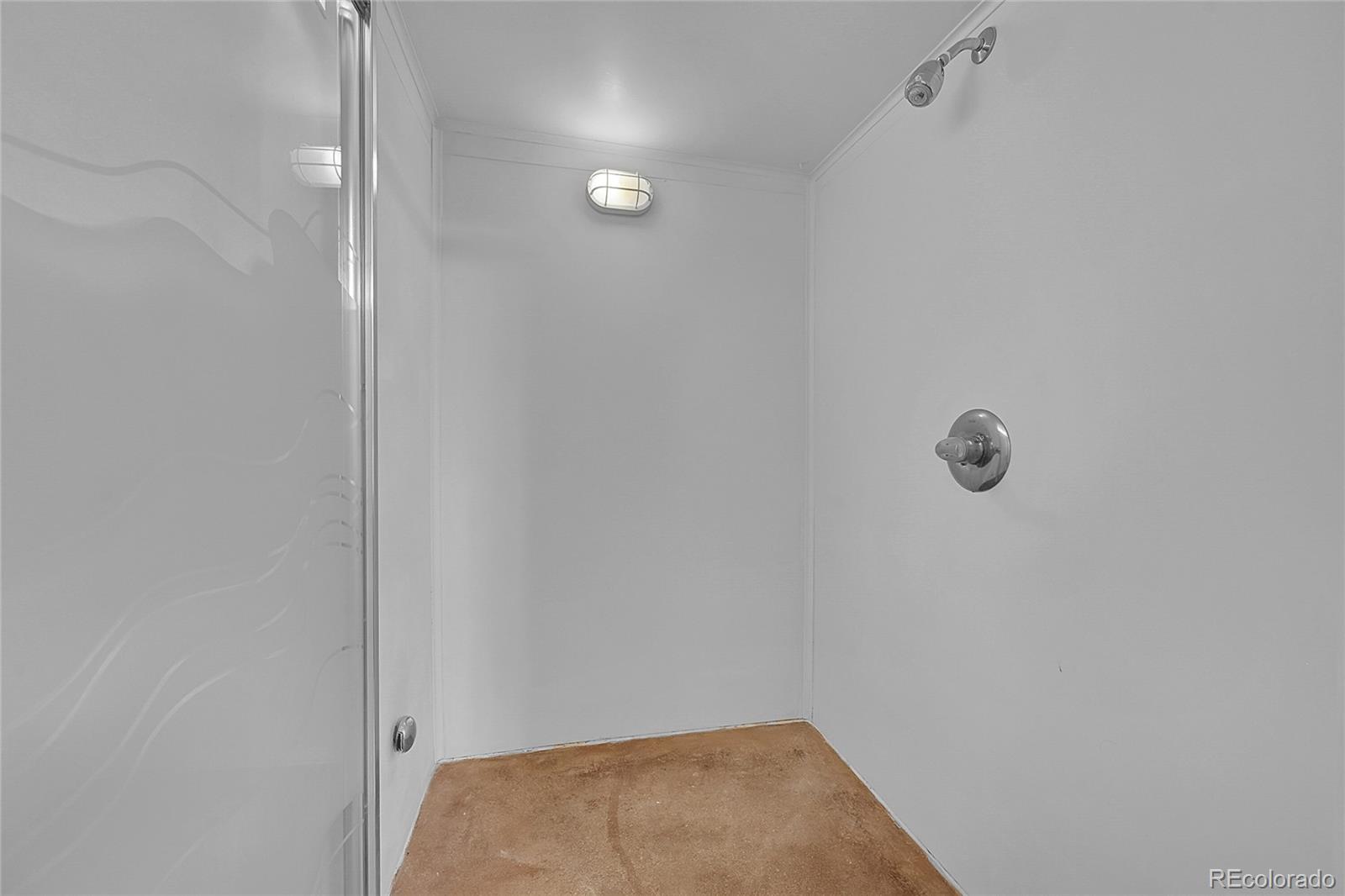 MLS Image #26 for 29832  dorothy road,evergreen, Colorado
