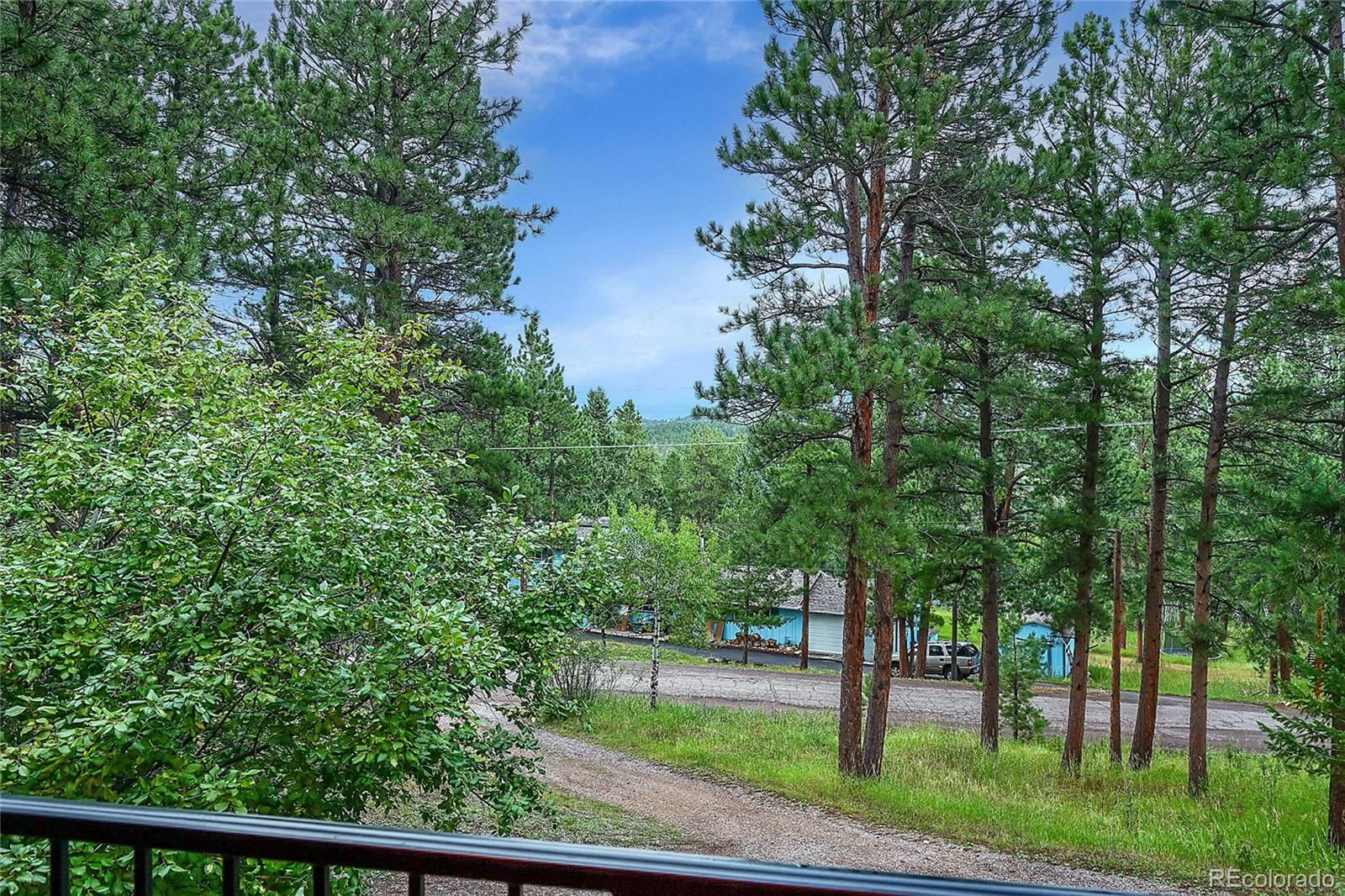 MLS Image #30 for 29832  dorothy road,evergreen, Colorado