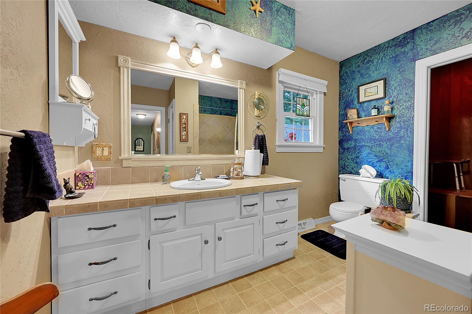 MLS Image #9 for 29832  dorothy road,evergreen, Colorado