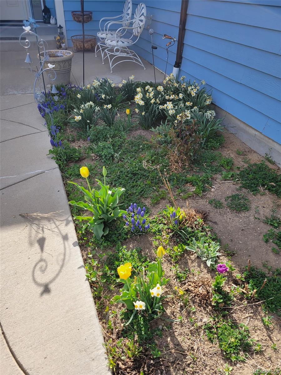 MLS Image #5 for 1901  blue mountain avenue,berthoud, Colorado