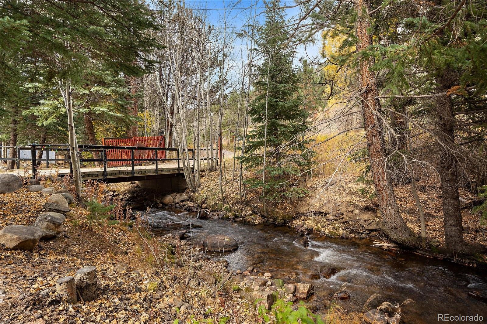 MLS Image #1 for 2971  fall river road,idaho springs, Colorado