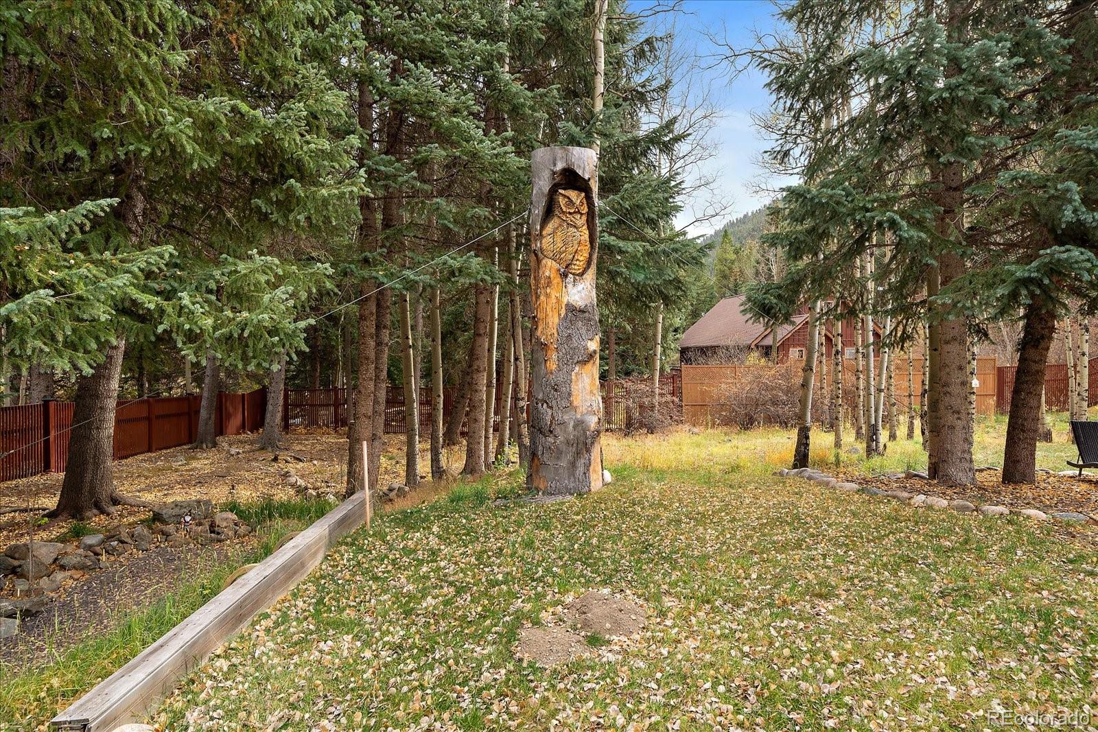 MLS Image #36 for 2971  fall river road,idaho springs, Colorado