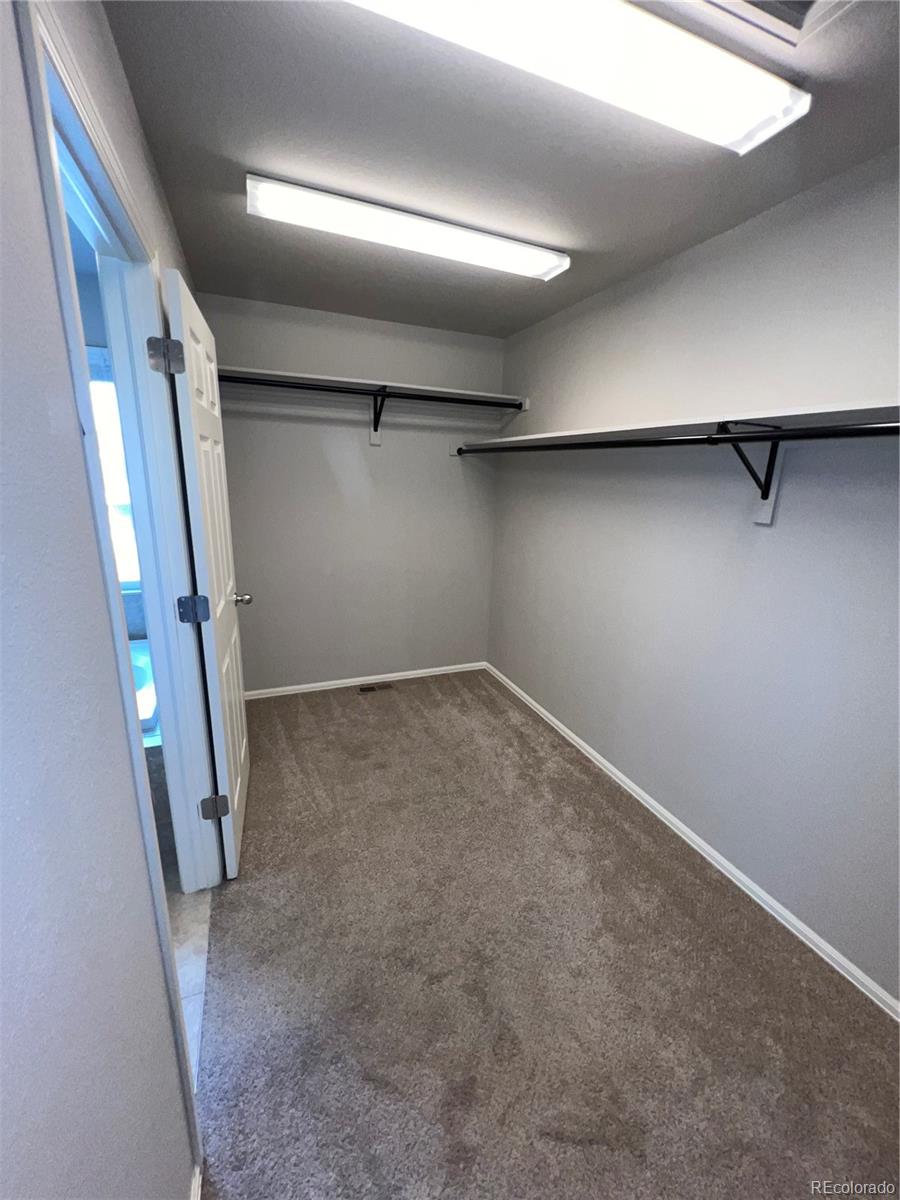 MLS Image #16 for 3231  lump gulch way,erie, Colorado