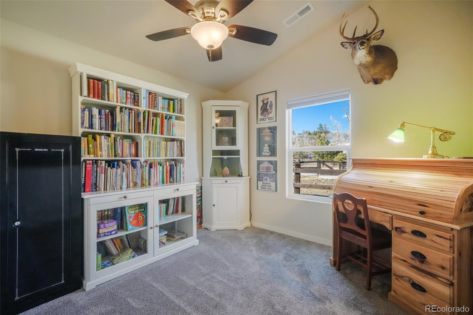 MLS Image #31 for 819  meadow lane,palmer lake, Colorado
