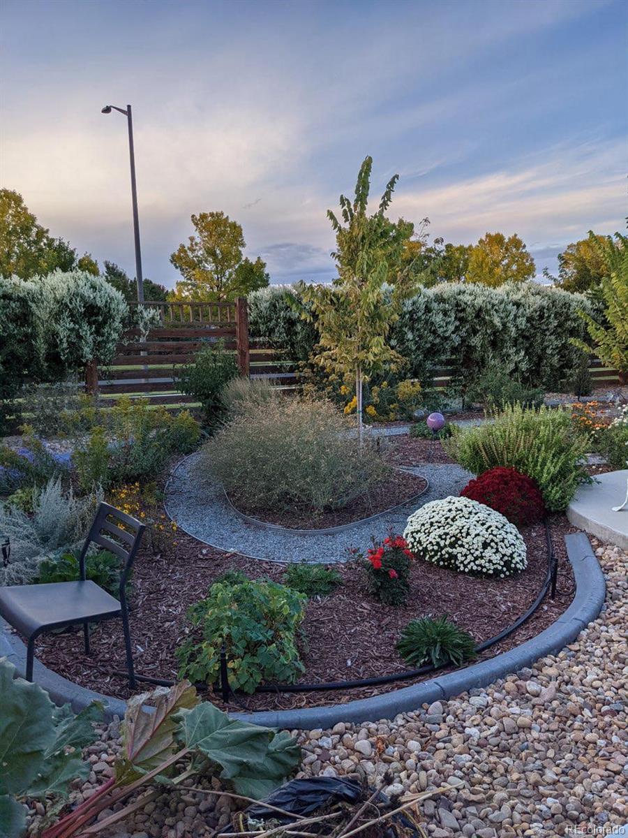 MLS Image #23 for 3037  crux drive,loveland, Colorado