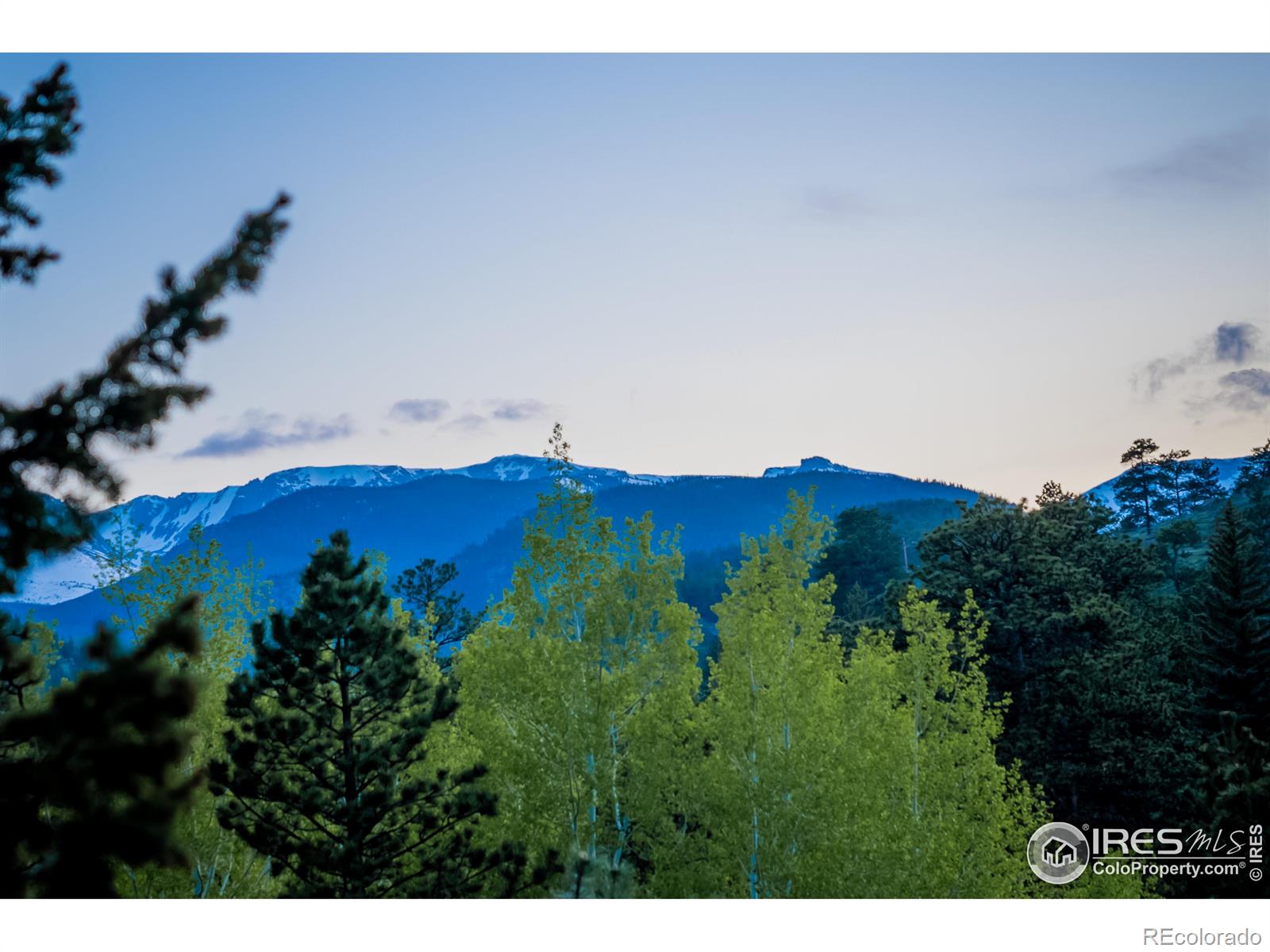 MLS Image #3 for 2274  aspen knoll drive,estes park, Colorado