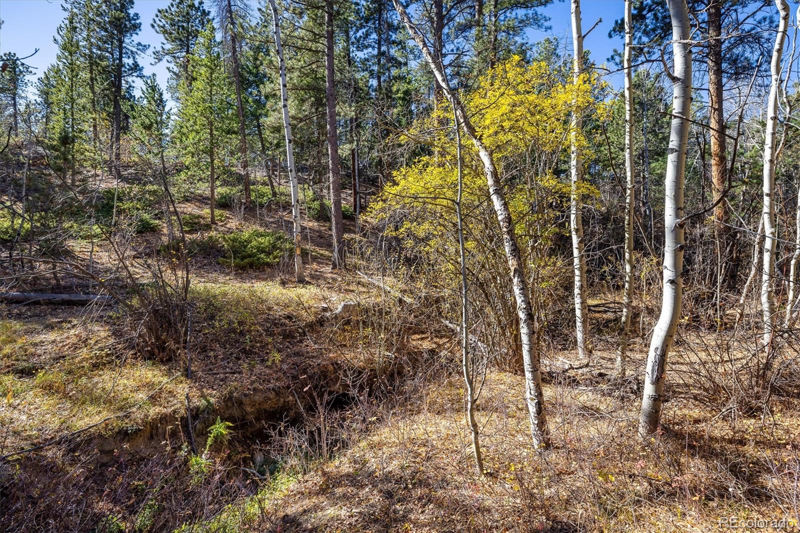 MLS Image #33 for 31948  highway 72 ,golden, Colorado