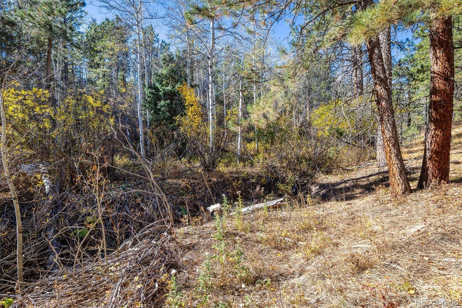 MLS Image #35 for 31948  highway 72 ,golden, Colorado