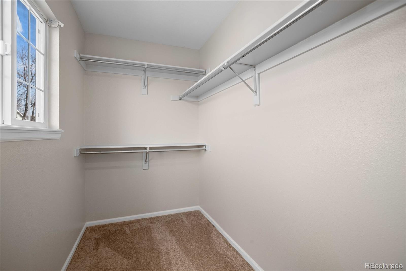 MLS Image #26 for 1188  mulberry lane,highlands ranch, Colorado