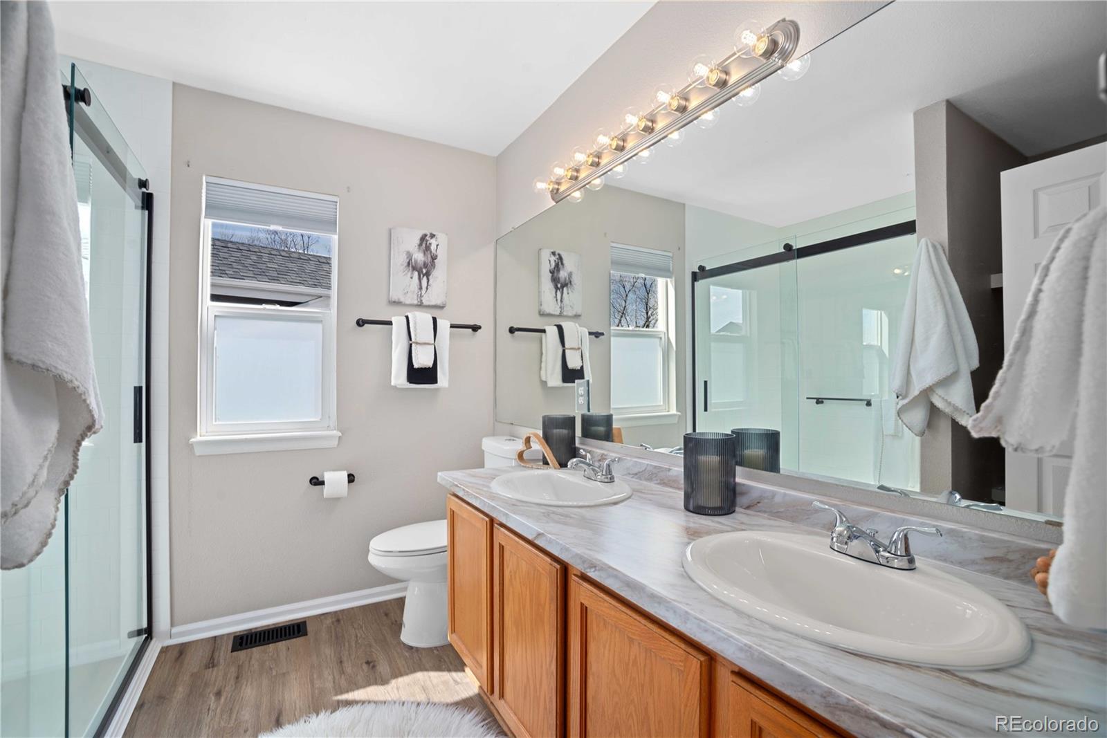 MLS Image #27 for 1188  mulberry lane,highlands ranch, Colorado