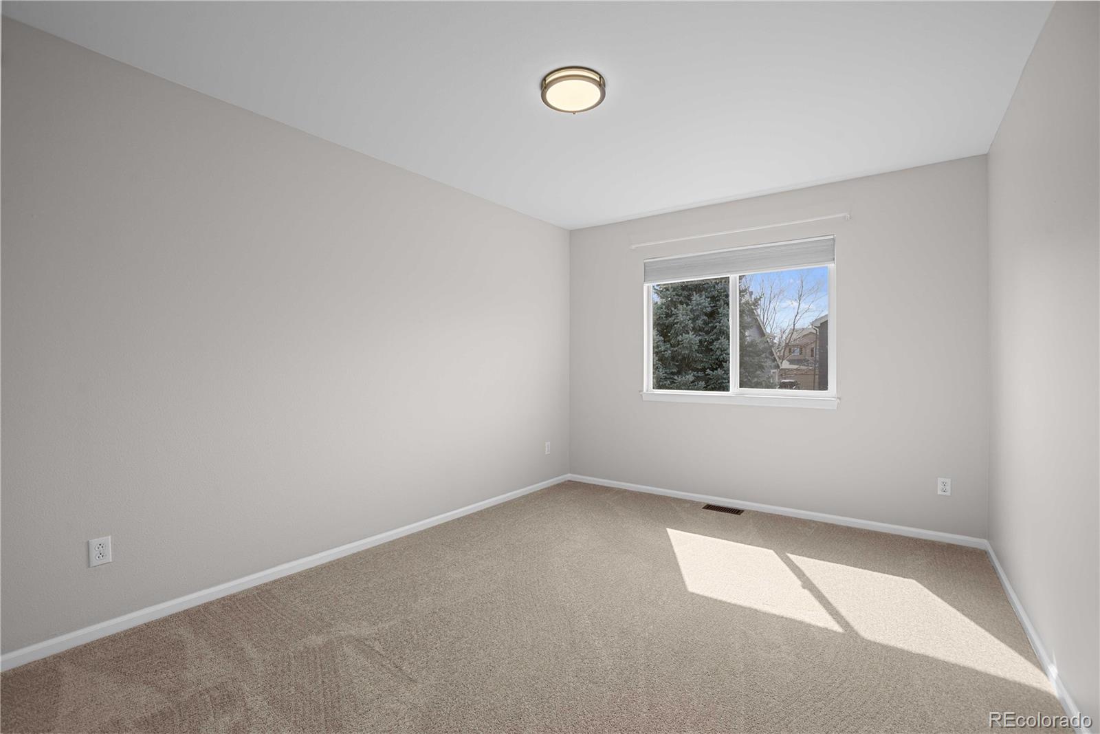 MLS Image #30 for 1188  mulberry lane,highlands ranch, Colorado