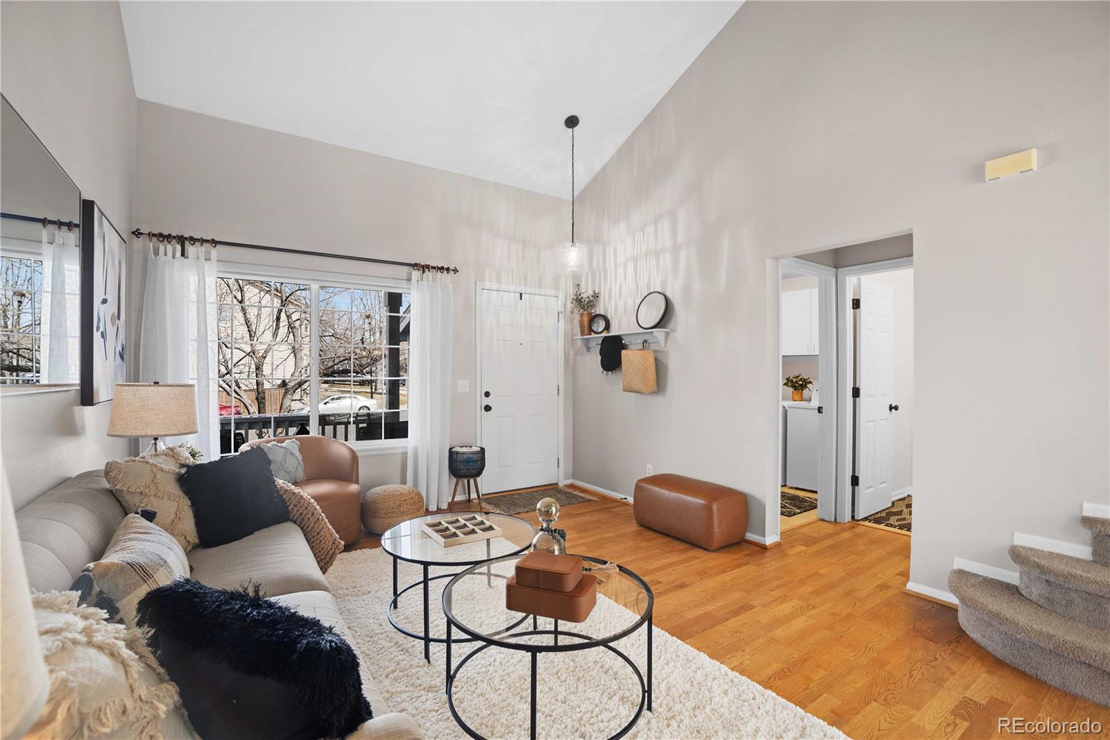 MLS Image #7 for 1188  mulberry lane,highlands ranch, Colorado