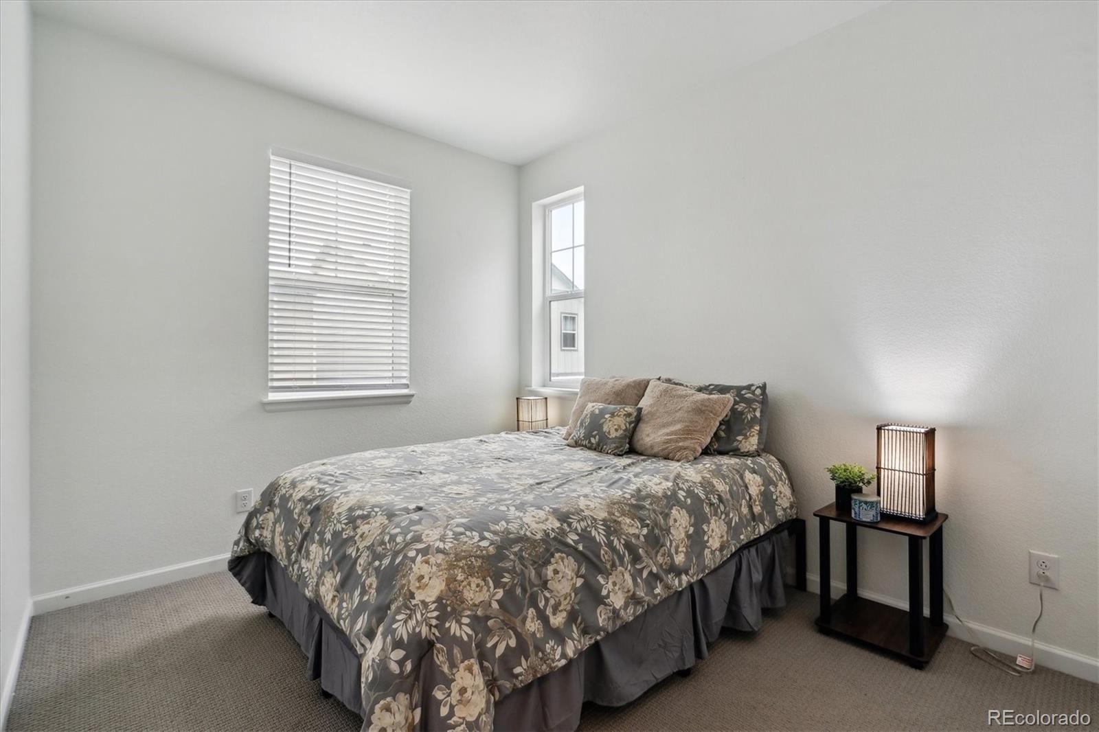 MLS Image #13 for 18304  caffey drive,parker, Colorado