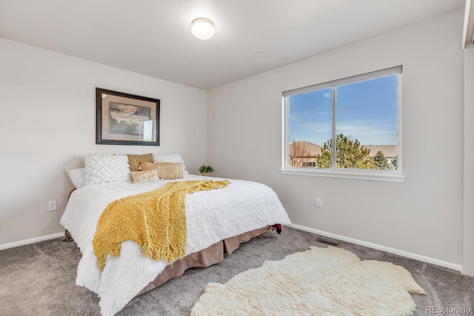 MLS Image #25 for 4576  sedona lane,dacono, Colorado
