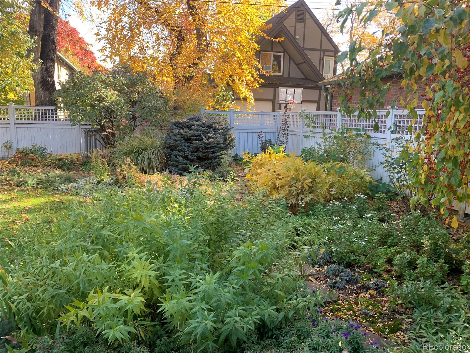 MLS Image #24 for 1788  glencoe street,denver, Colorado