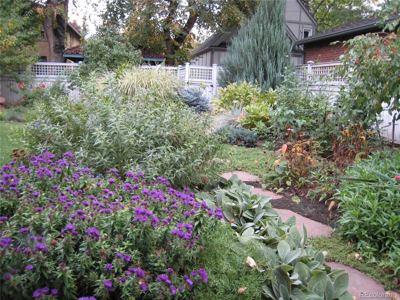 MLS Image #4 for 1788  glencoe street,denver, Colorado