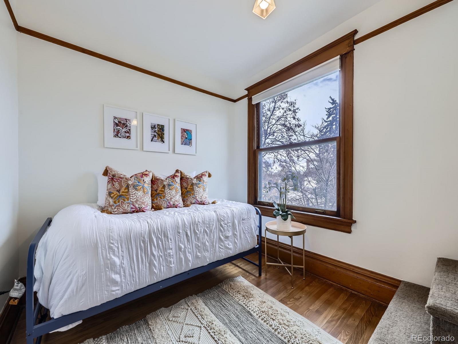 MLS Image #23 for 1475  saint paul street,denver, Colorado