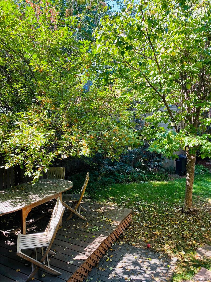 MLS Image #42 for 1475  saint paul street,denver, Colorado