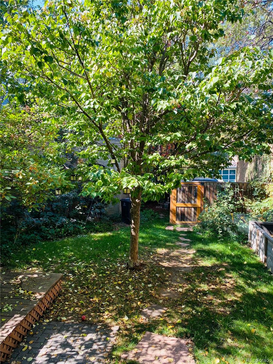 MLS Image #43 for 1475  saint paul street,denver, Colorado