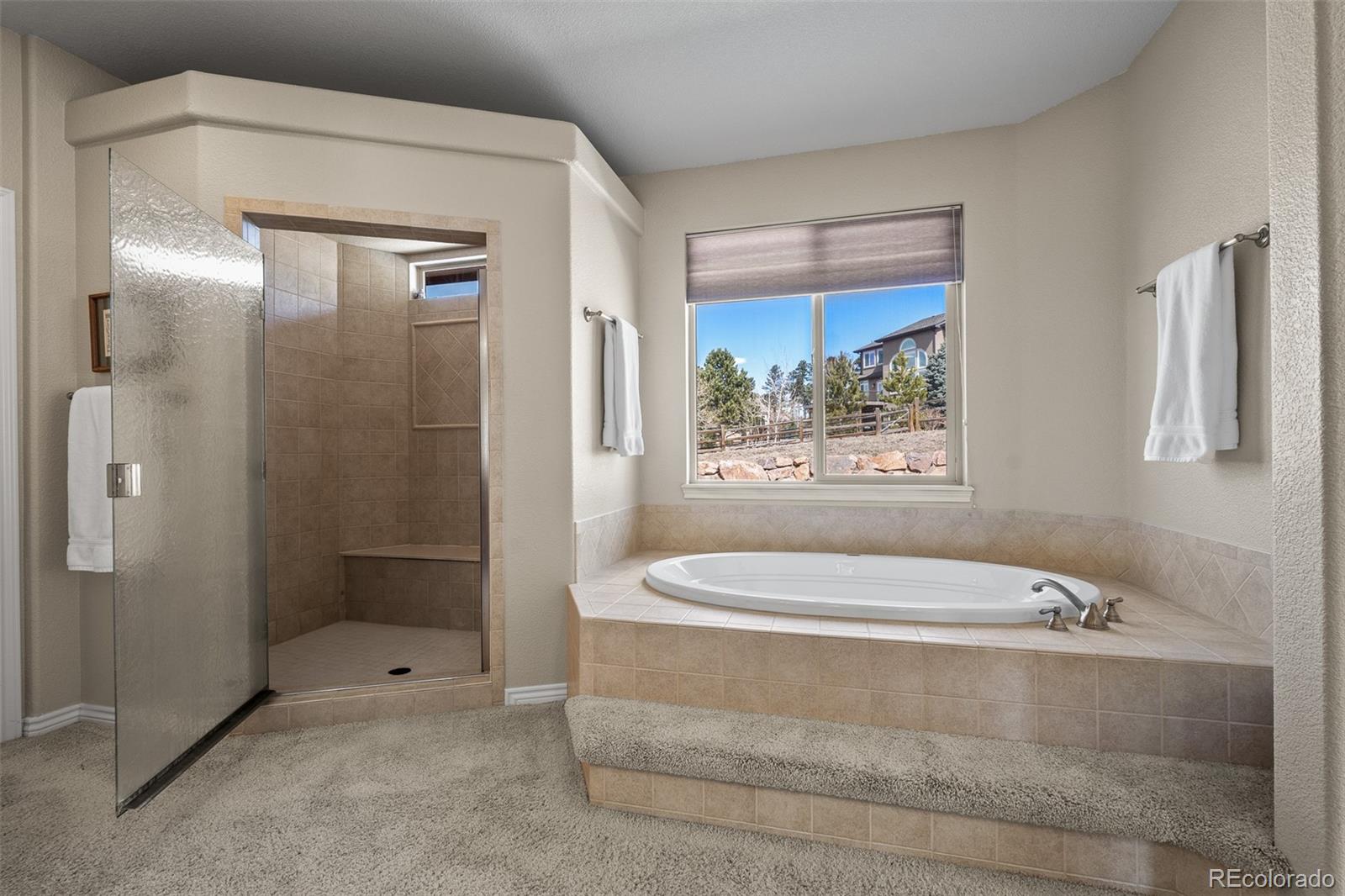MLS Image #24 for 20217  kenneth lainer drive,monument, Colorado
