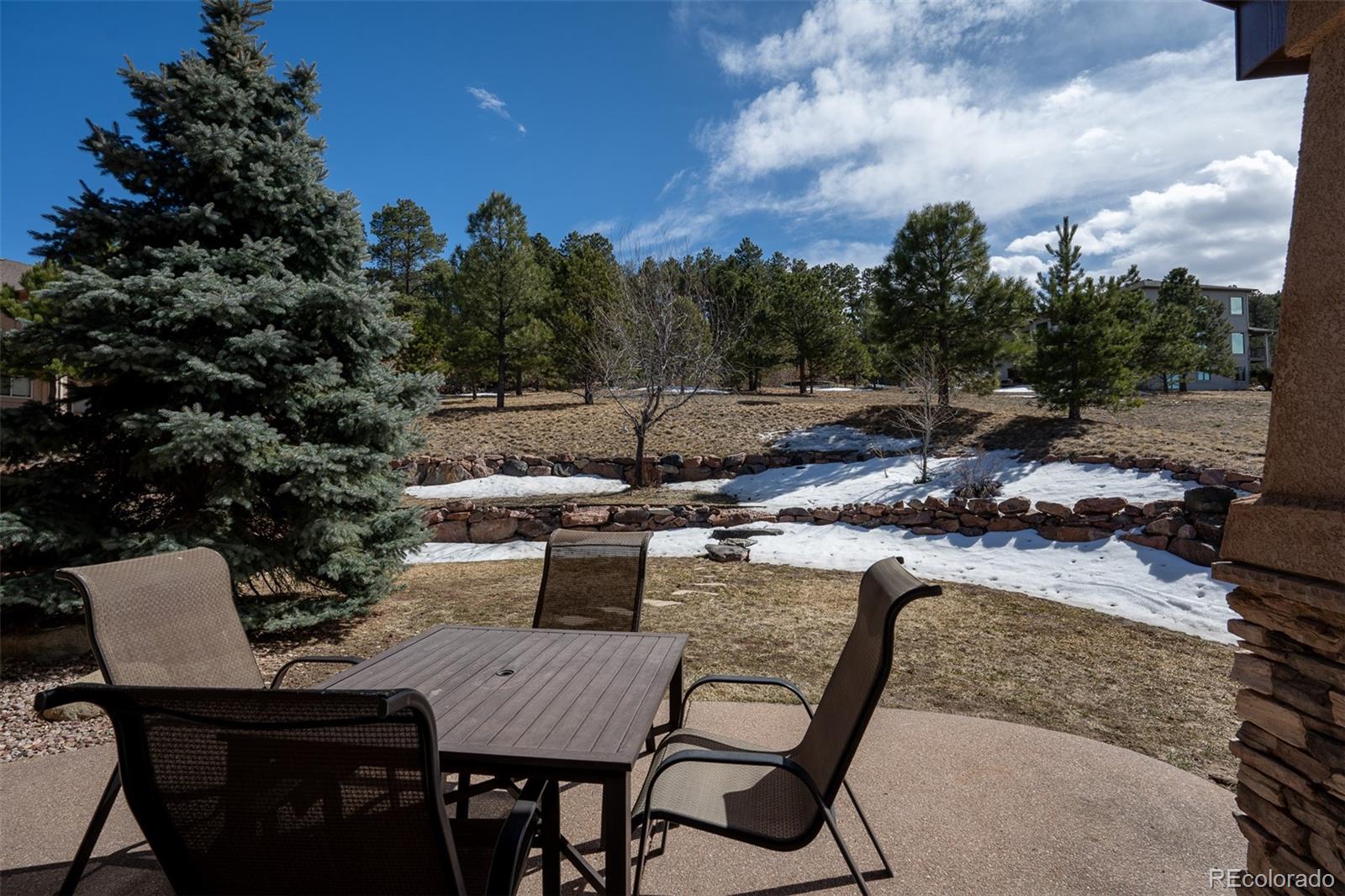 MLS Image #43 for 20217  kenneth lainer drive,monument, Colorado