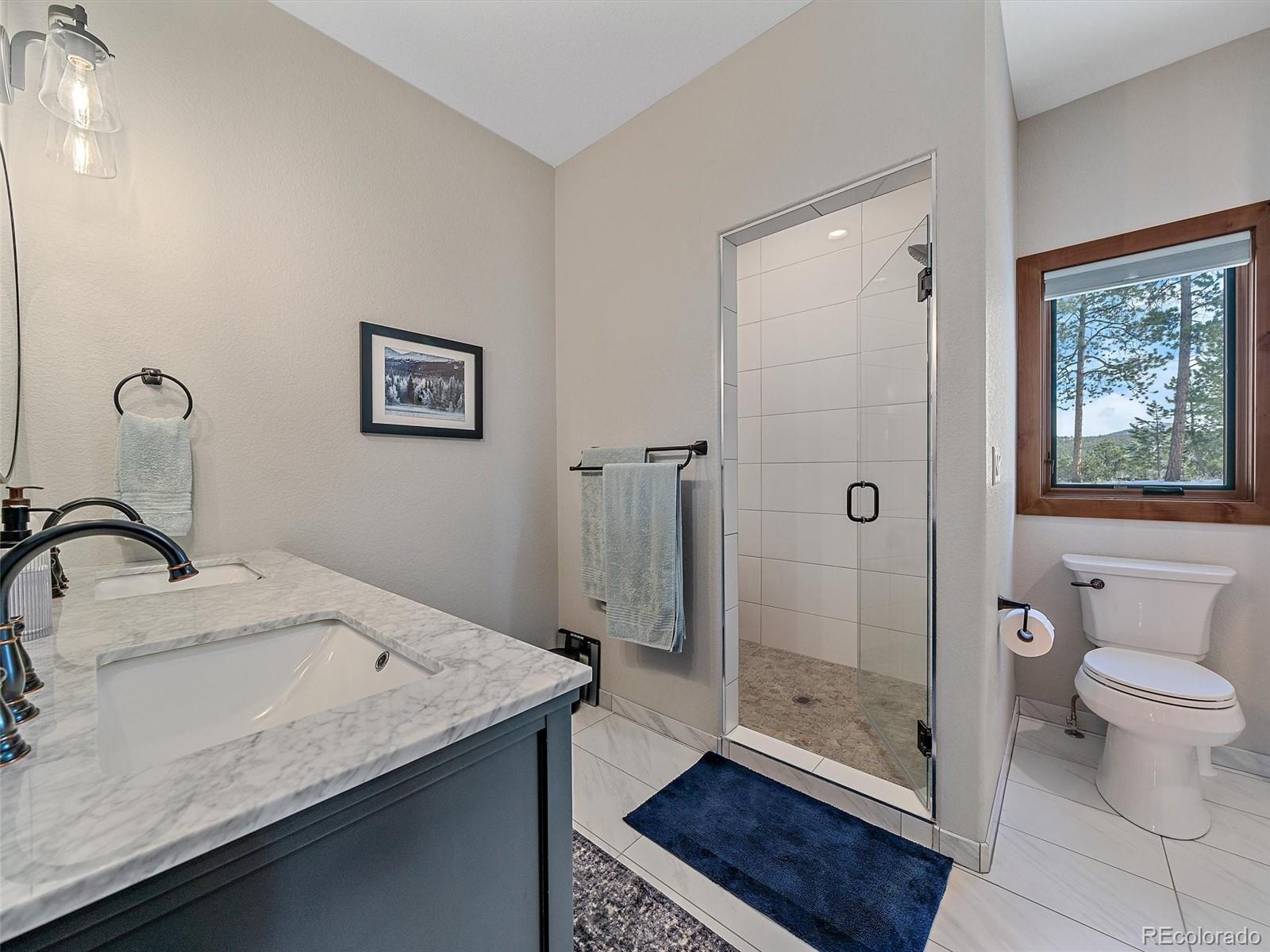 MLS Image #21 for 28592  hummingbird hill road,conifer, Colorado