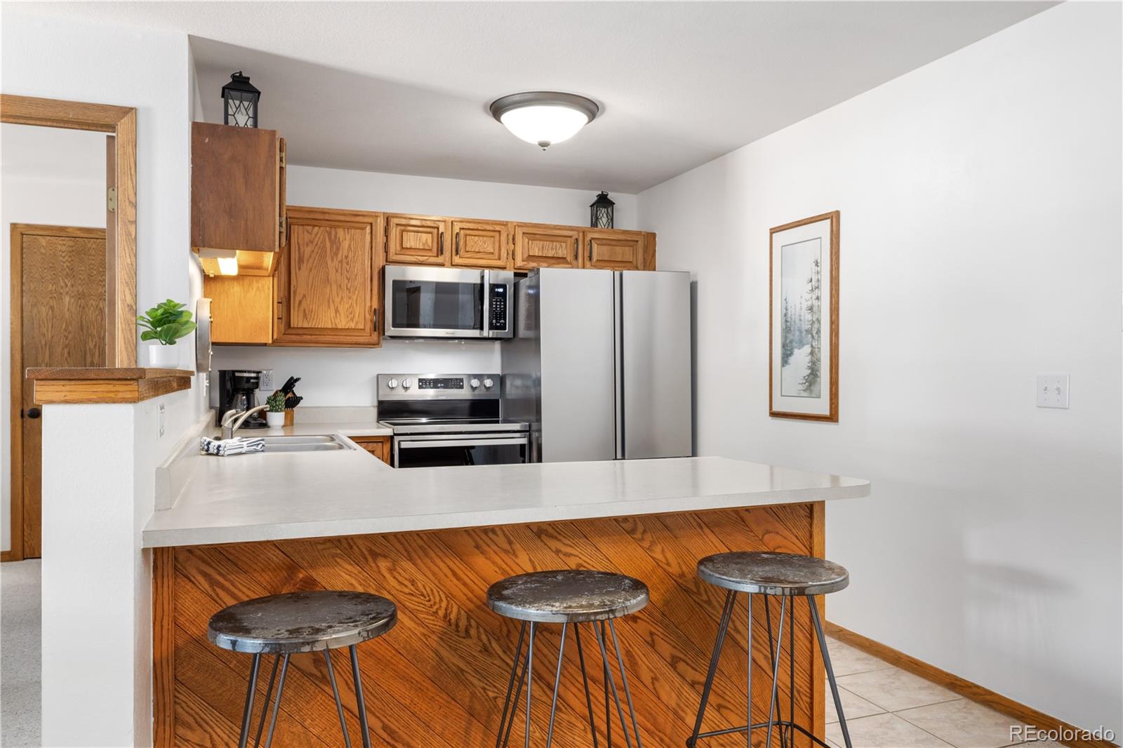 MLS Image #6 for 89200  ryan gulch road,silverthorne, Colorado
