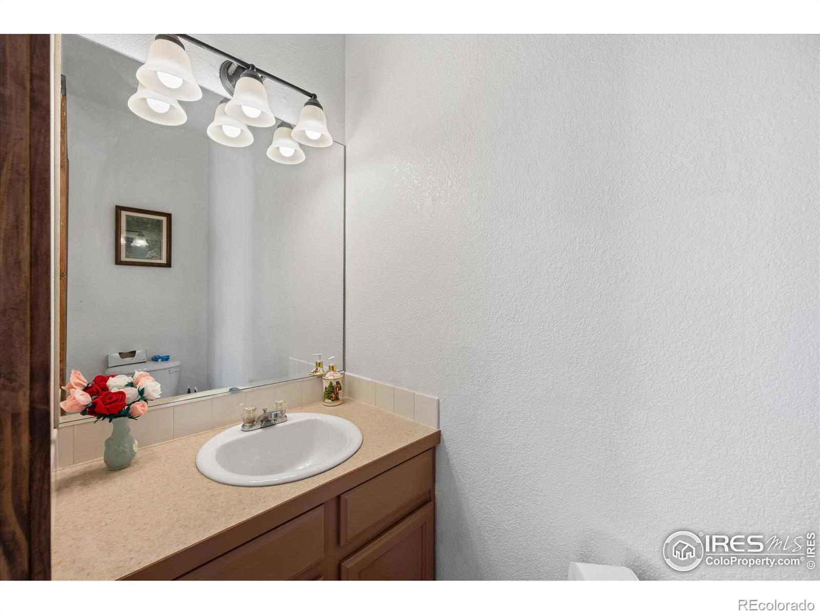 MLS Image #10 for 621  scotch pine drive,severance, Colorado