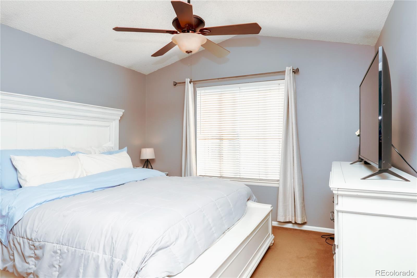 MLS Image #14 for 16952  dandelion way,parker, Colorado