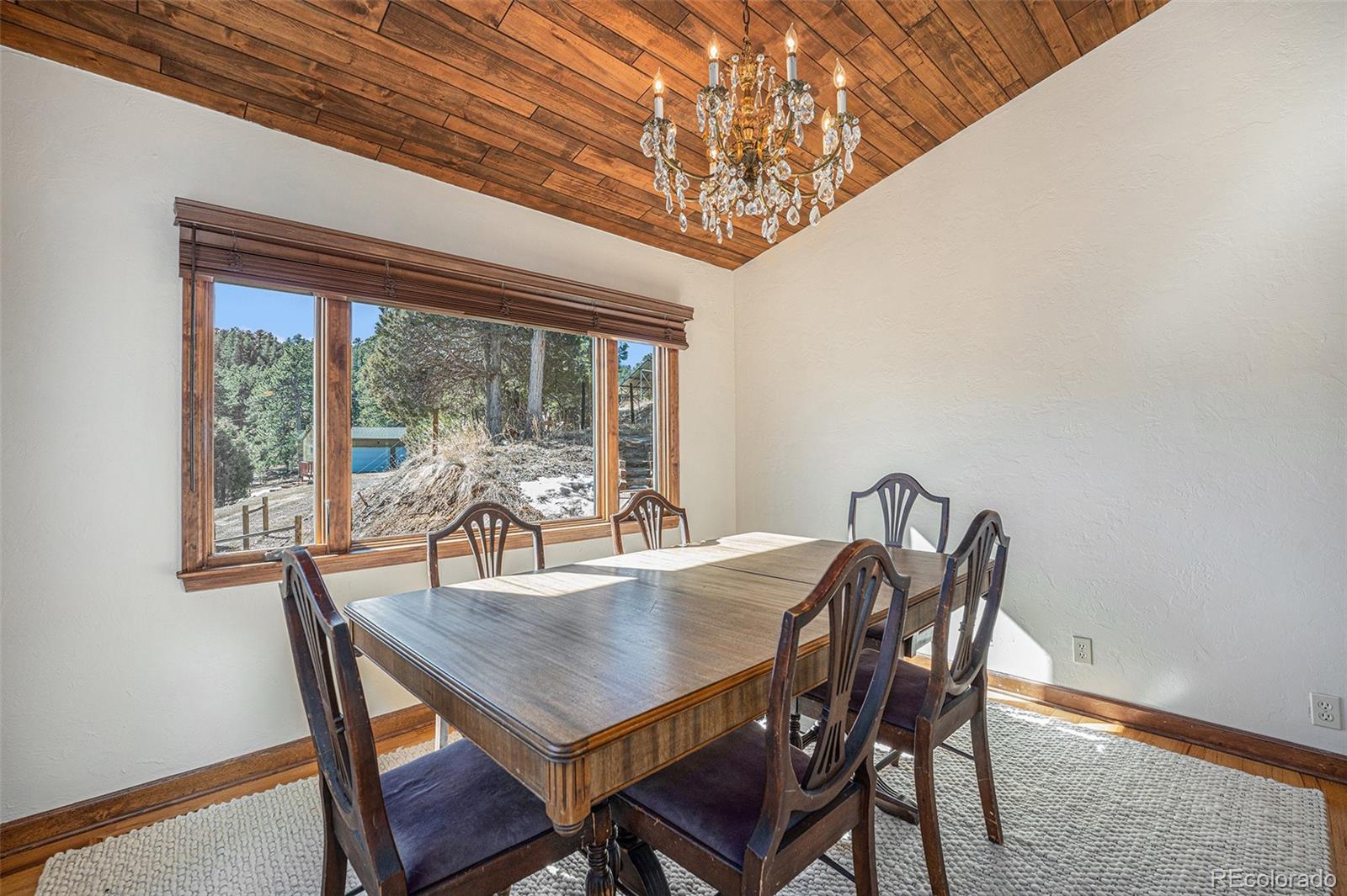 MLS Image #6 for 268  cedar road,golden, Colorado