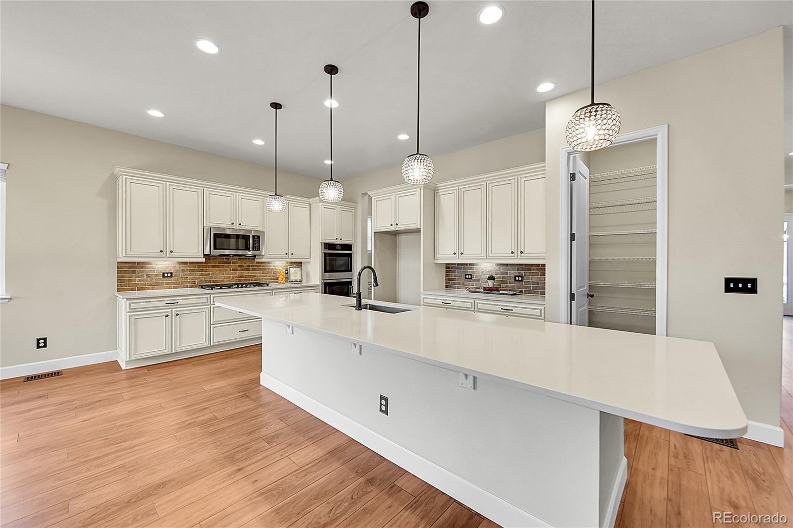 MLS Image #7 for 5190  ditmars trail,castle rock, Colorado