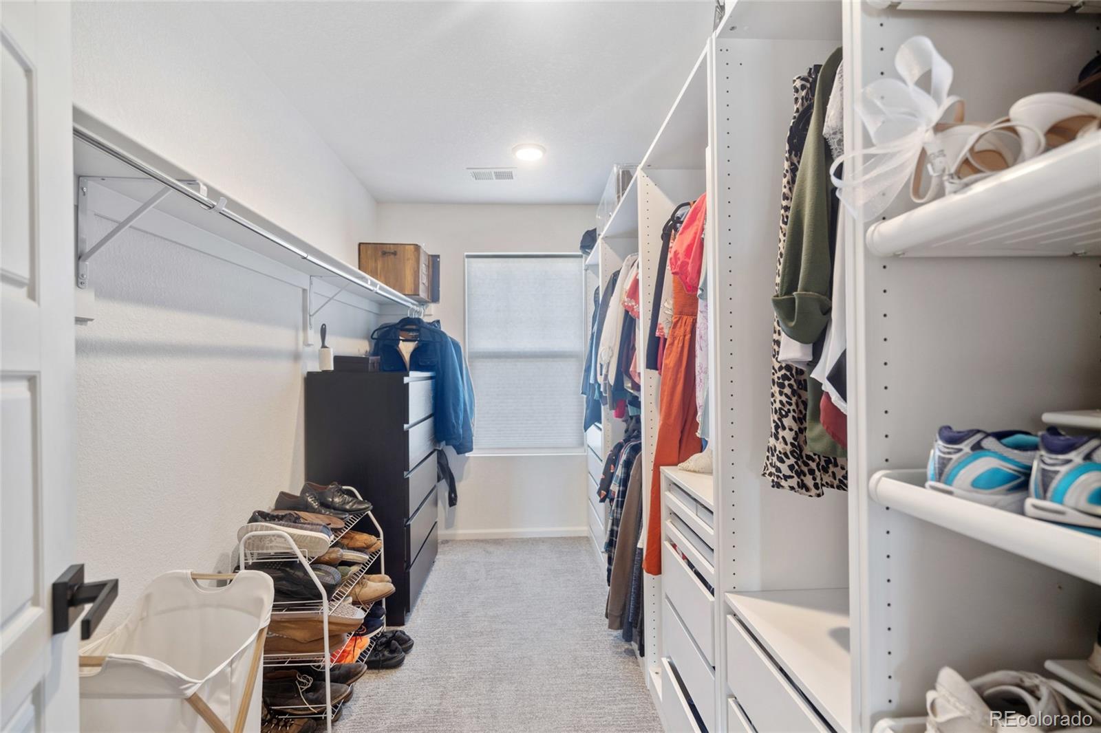 MLS Image #22 for 753  audubon peak drive,erie, Colorado