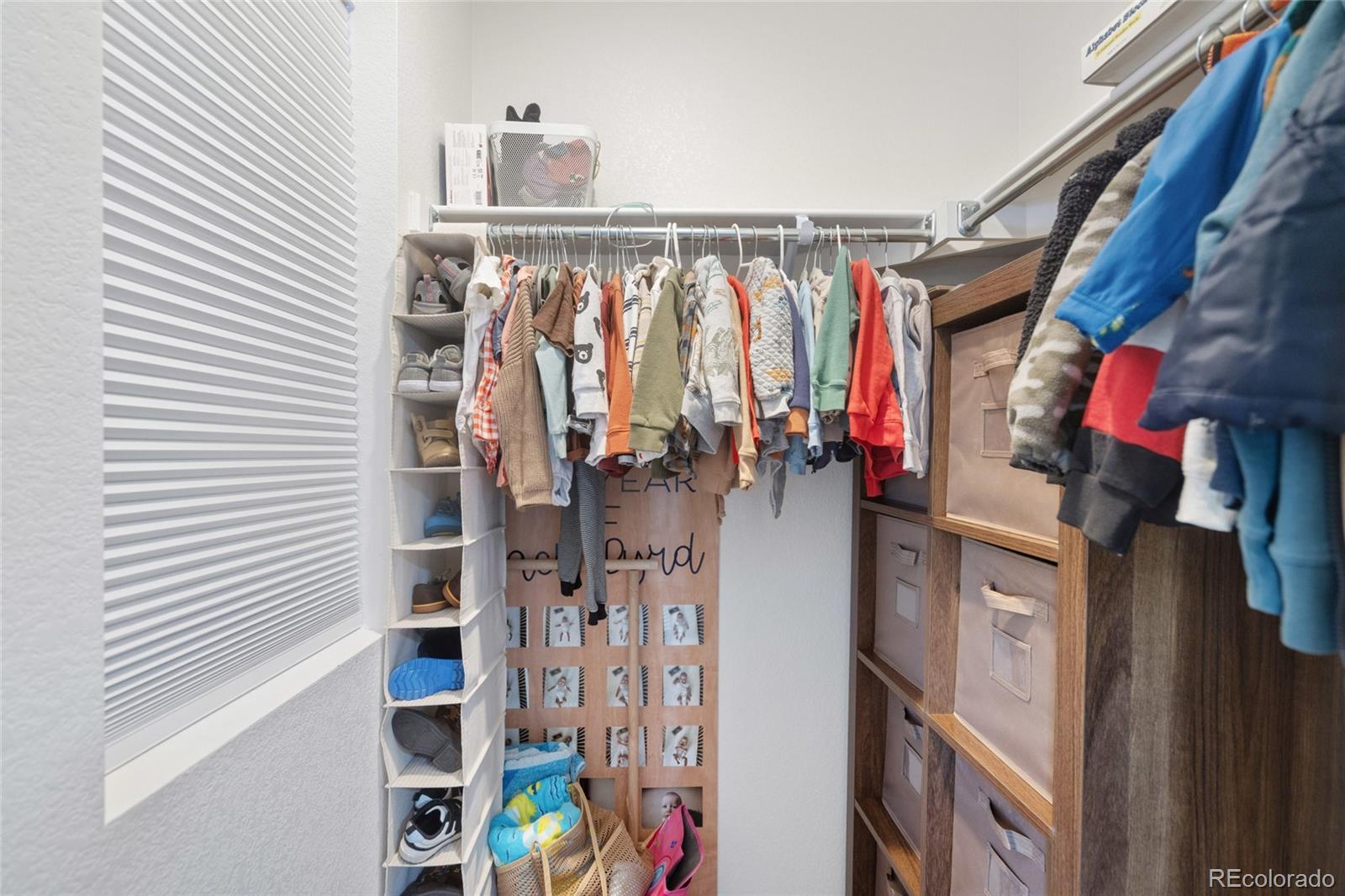 MLS Image #35 for 753  audubon peak drive,erie, Colorado