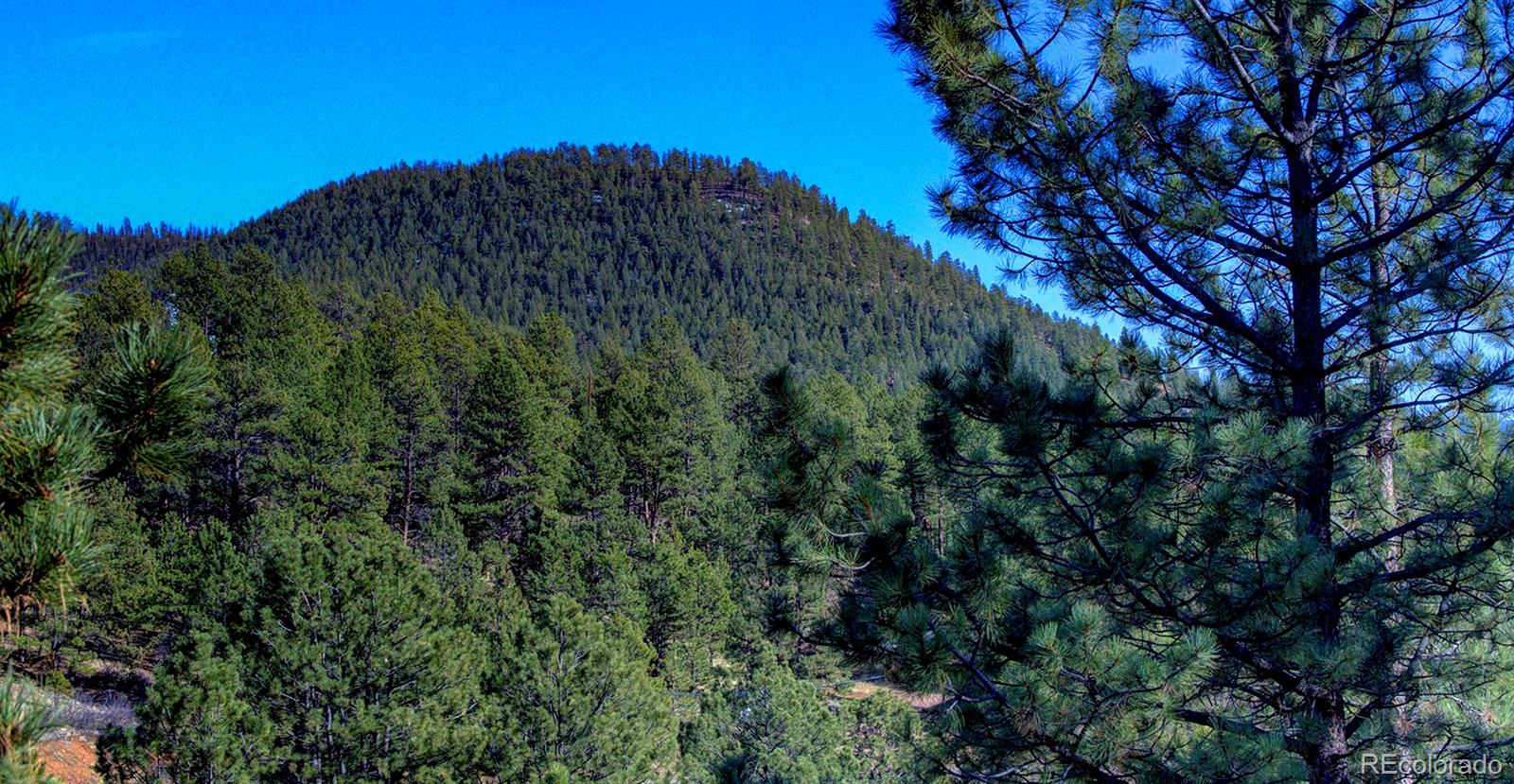 MLS Image #23 for 15349  ouray road,pine, Colorado