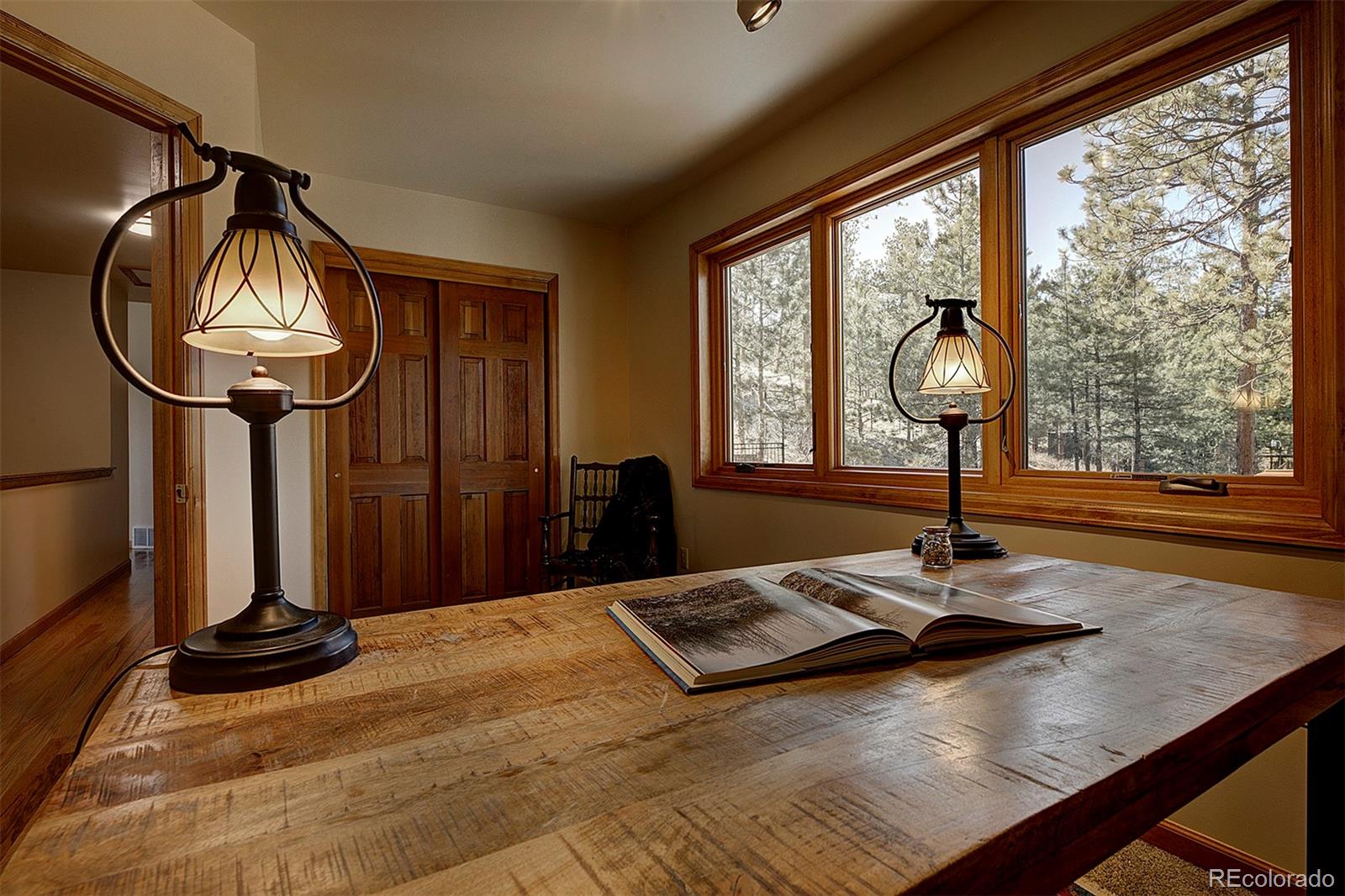 MLS Image #31 for 15349  ouray road,pine, Colorado