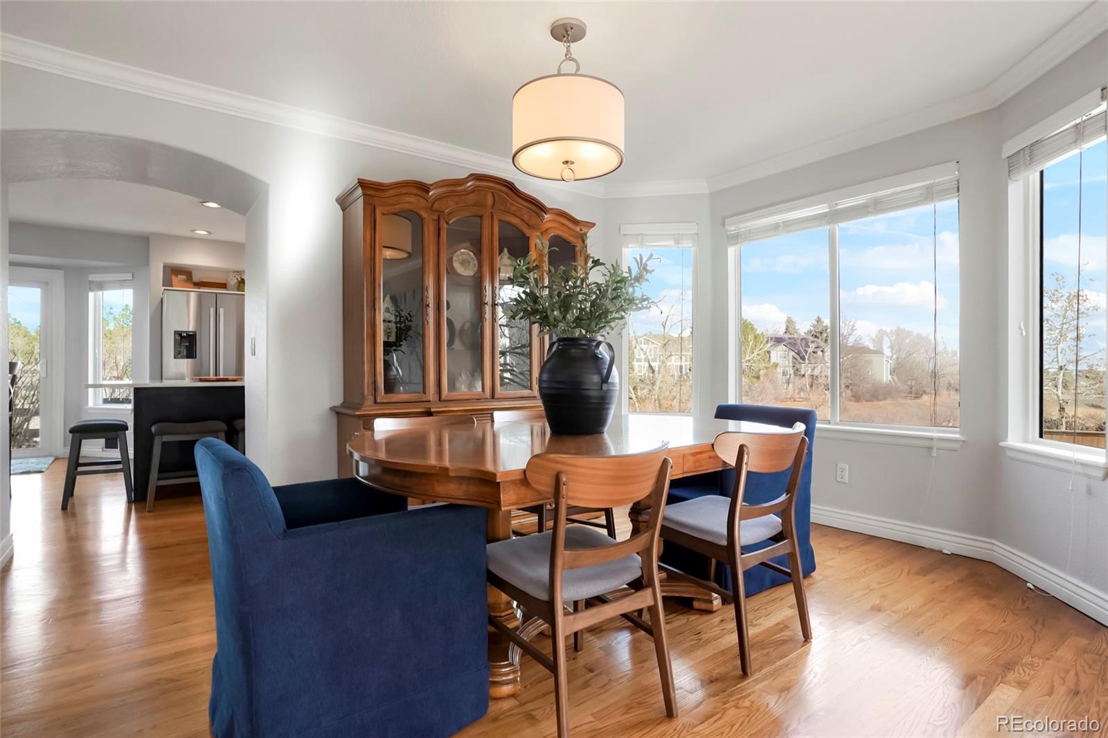 MLS Image #5 for 8903  edgewood street,highlands ranch, Colorado