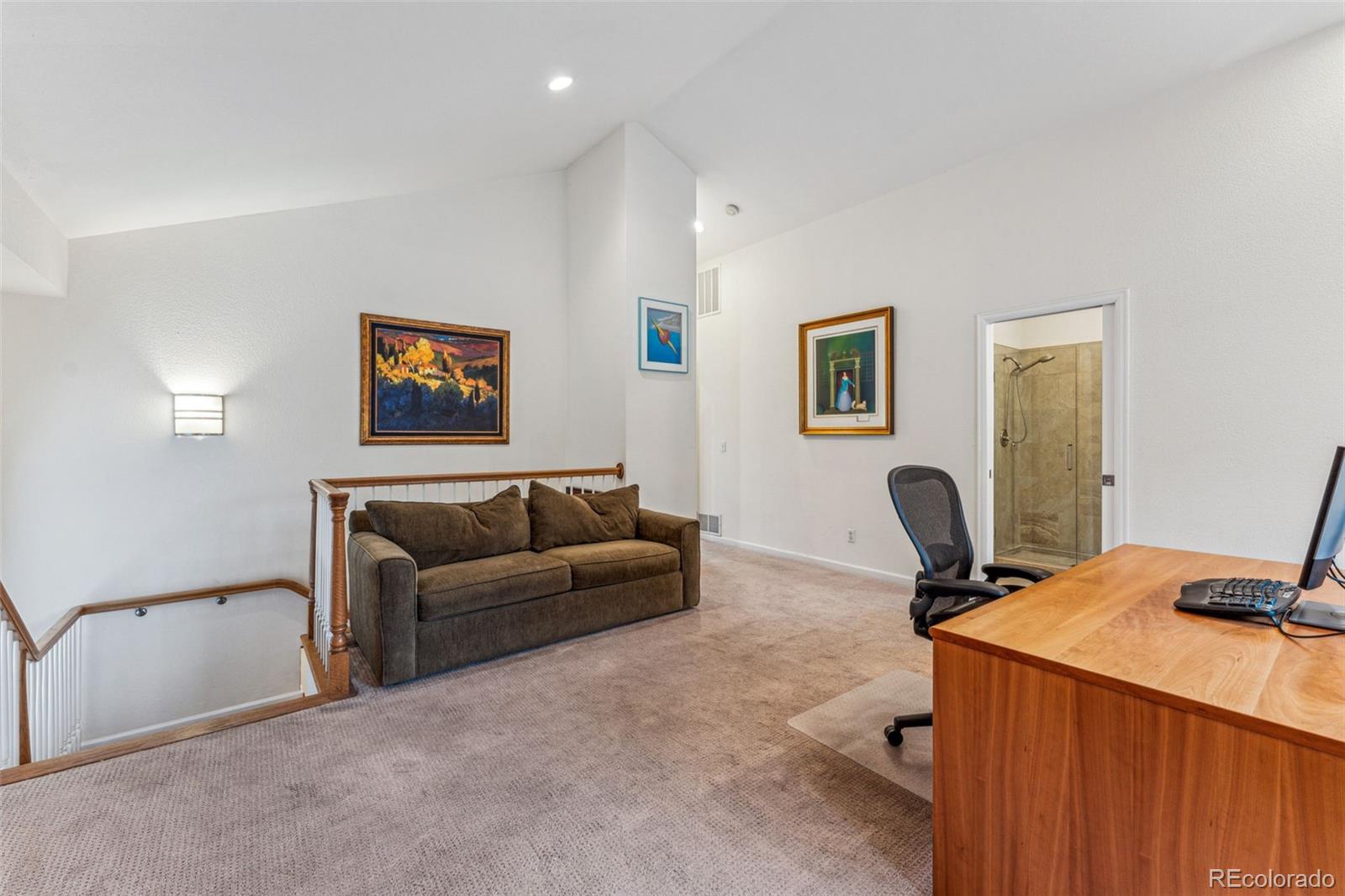 MLS Image #20 for 1131  elizabeth street,denver, Colorado