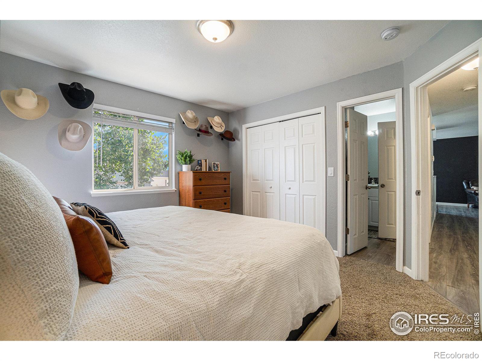 MLS Image #4 for 2932  park view drive,evans, Colorado