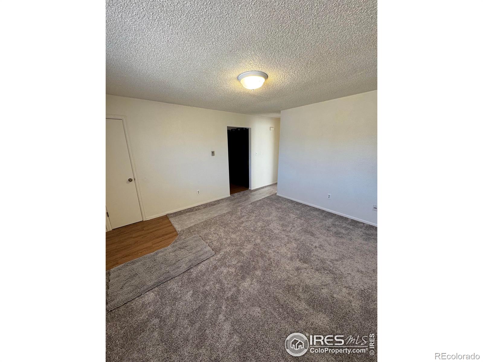 MLS Image #11 for 2241  dexter drive,longmont, Colorado